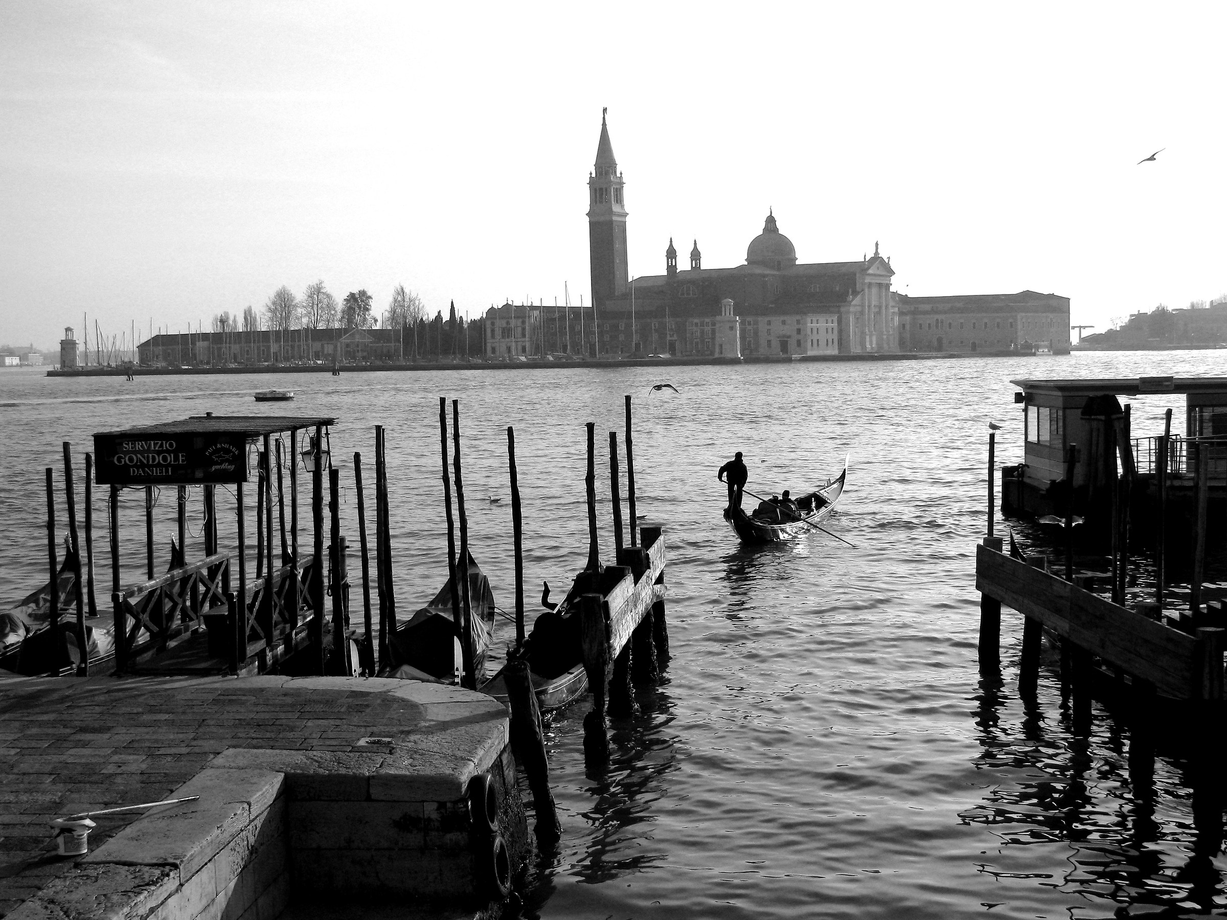 venice b&w