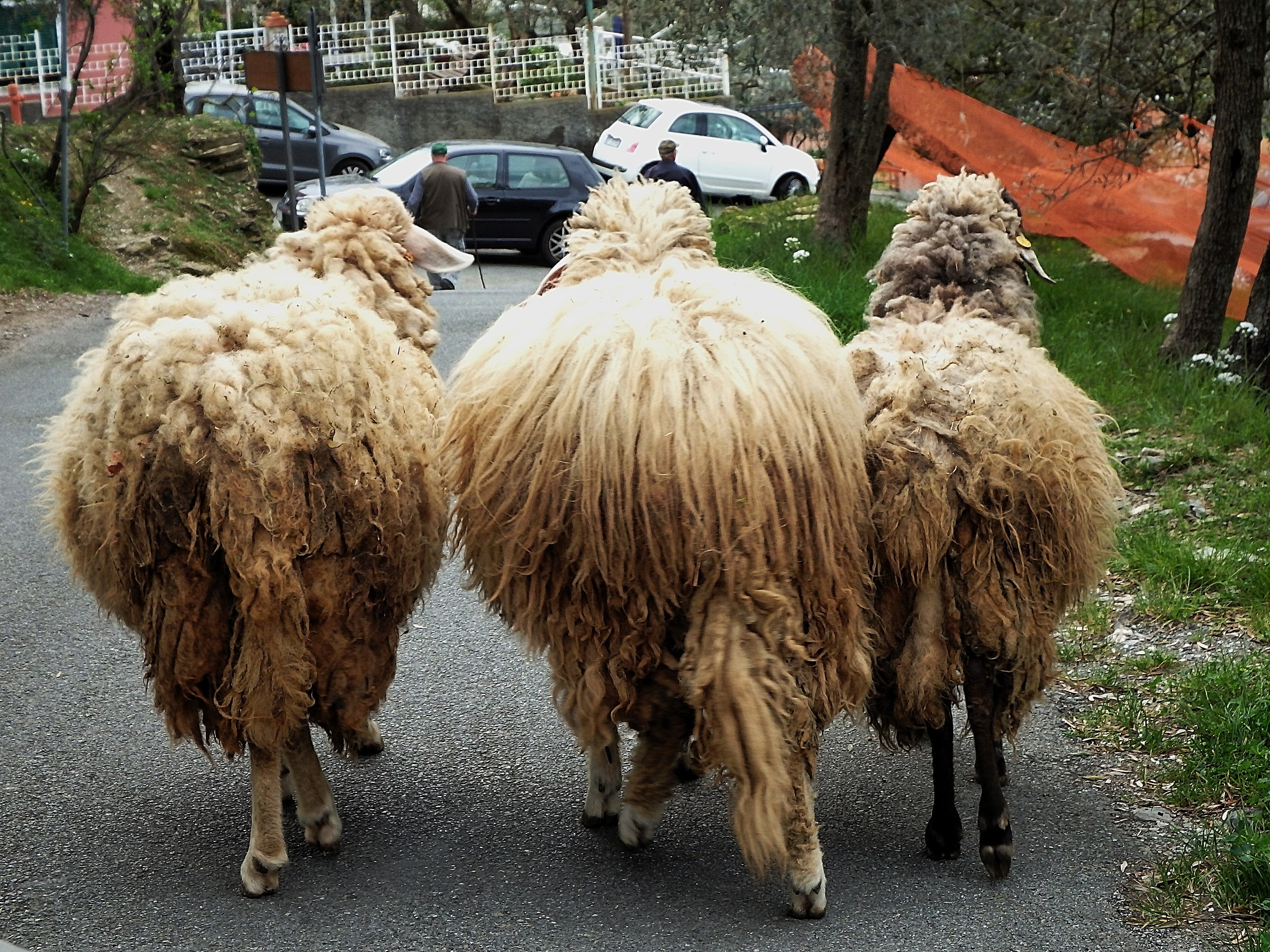 "I told you it was not the right way" ....