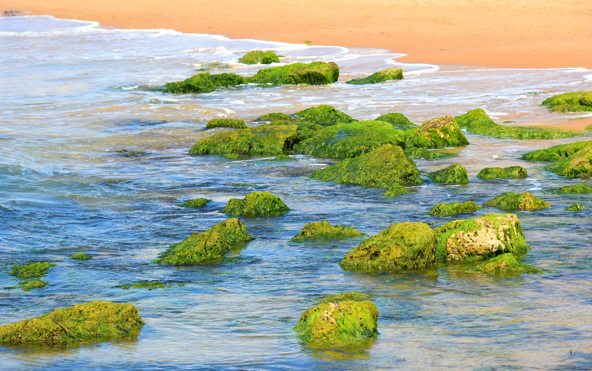 cromie siciliane .....