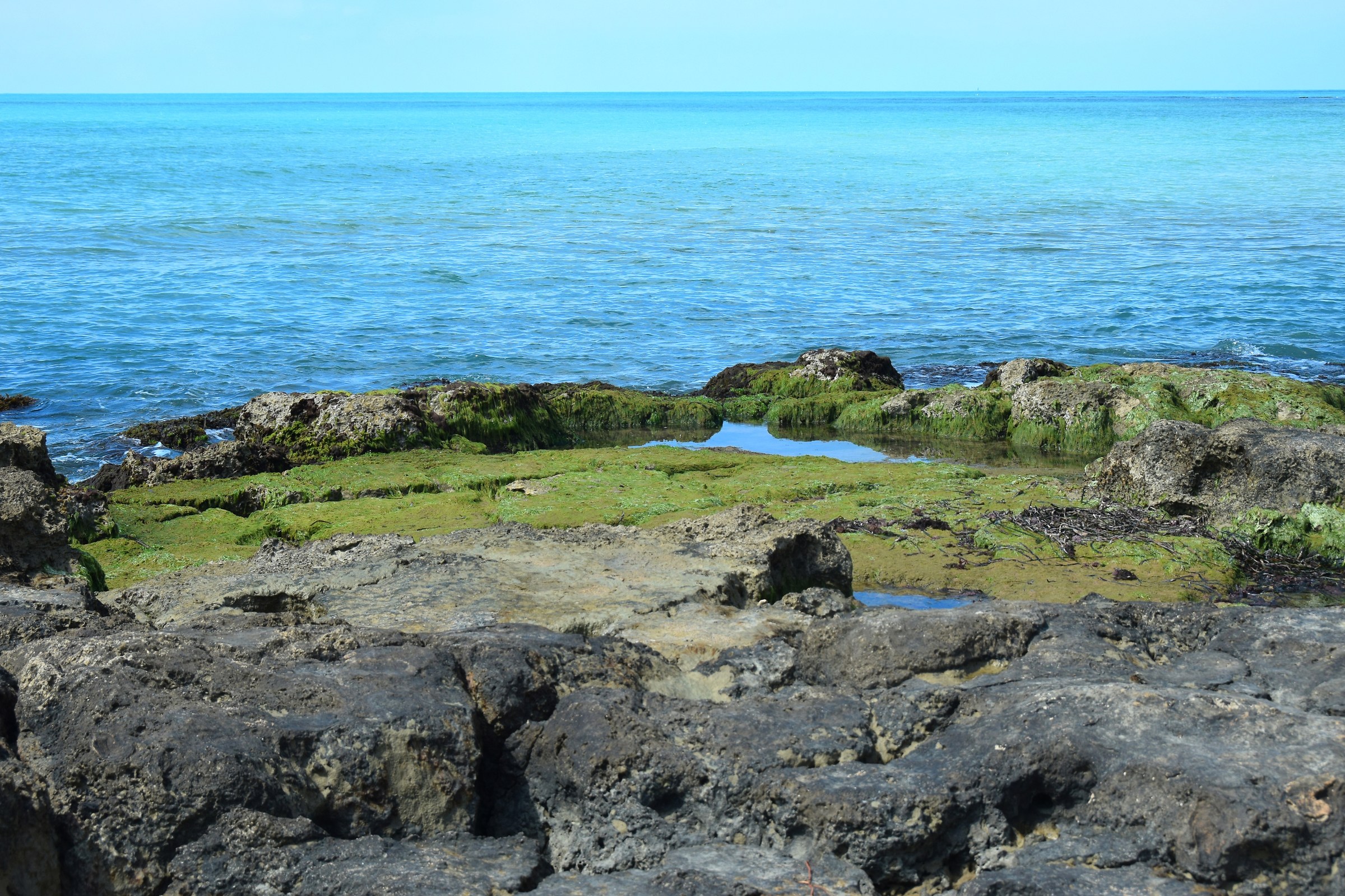 ulteriori ....cromie siciliane
