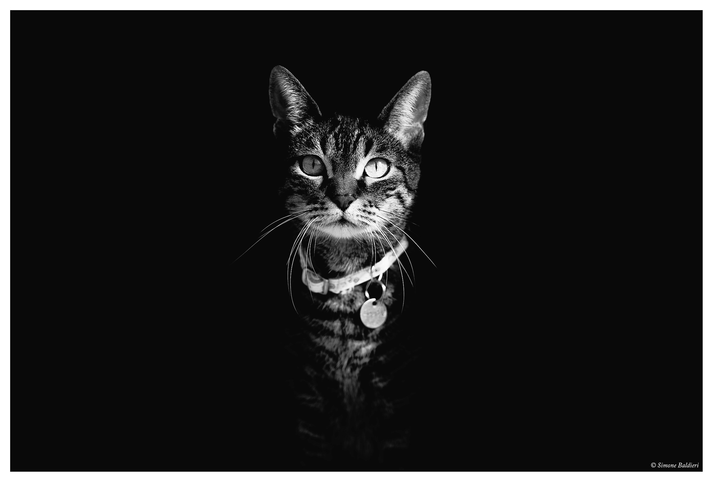 Sophie .... my model