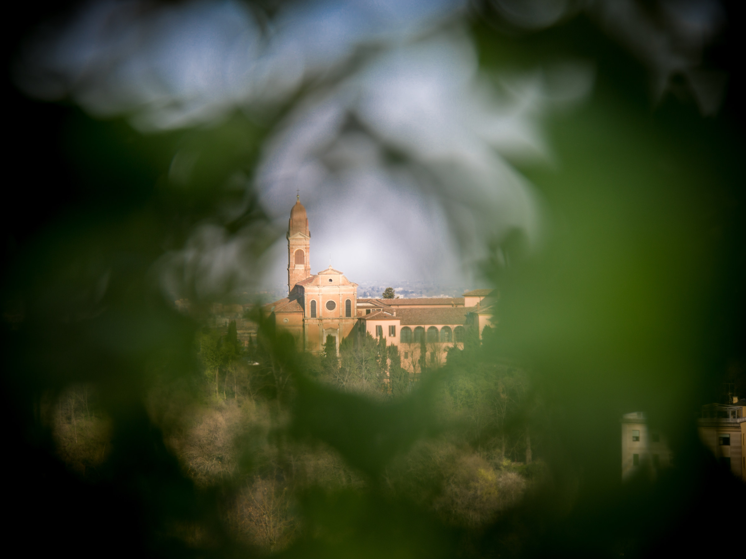 Looking at San Michele in Bosco