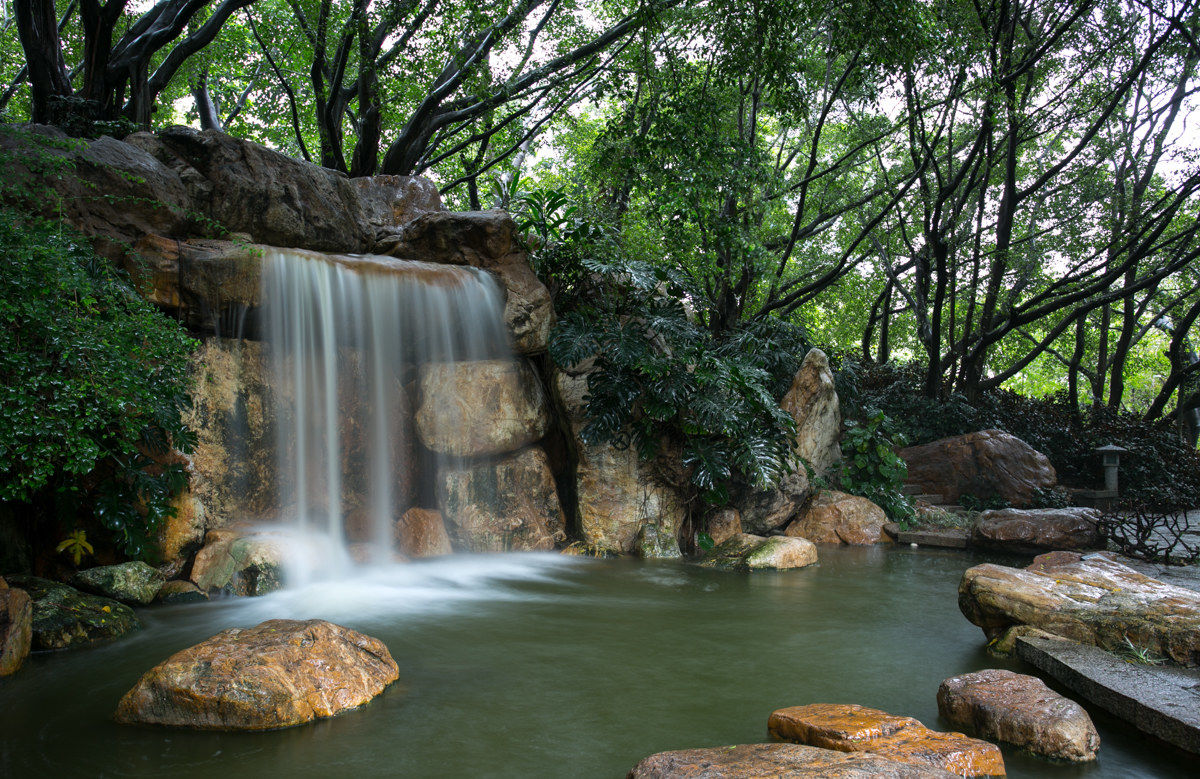 Rainy Days in The Park