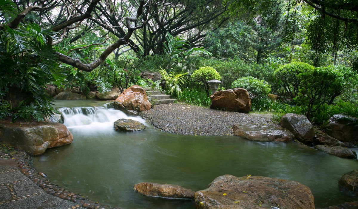 Rainy Days in The Park