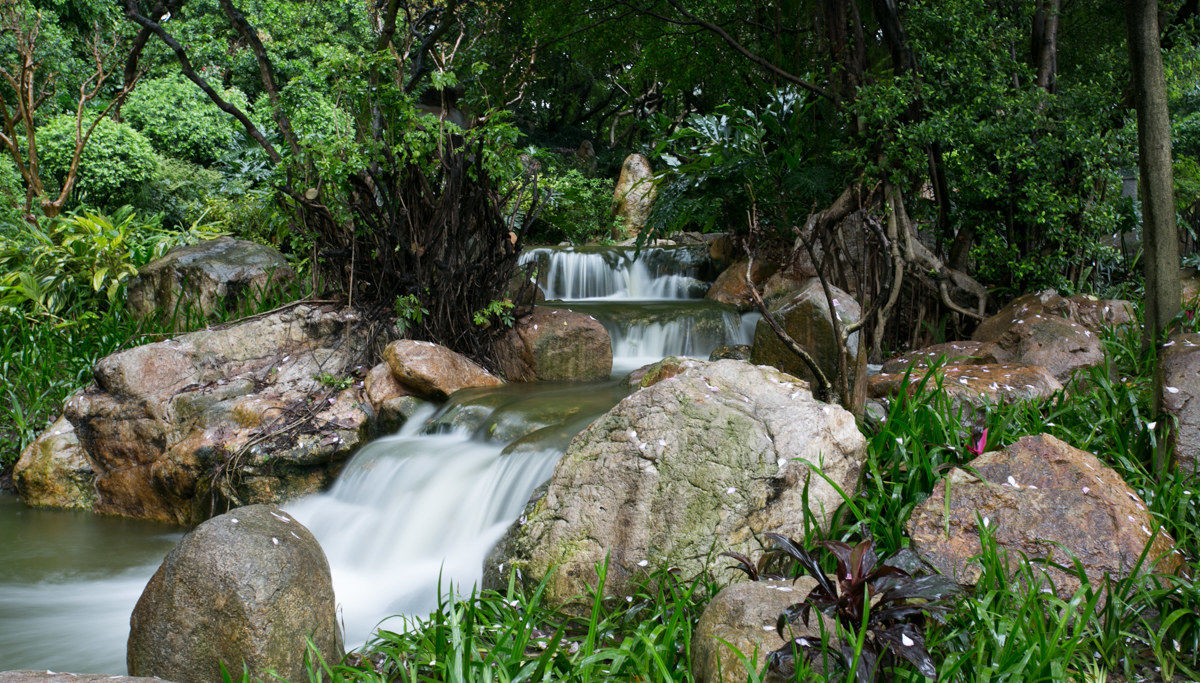 Rainy Days in The Park