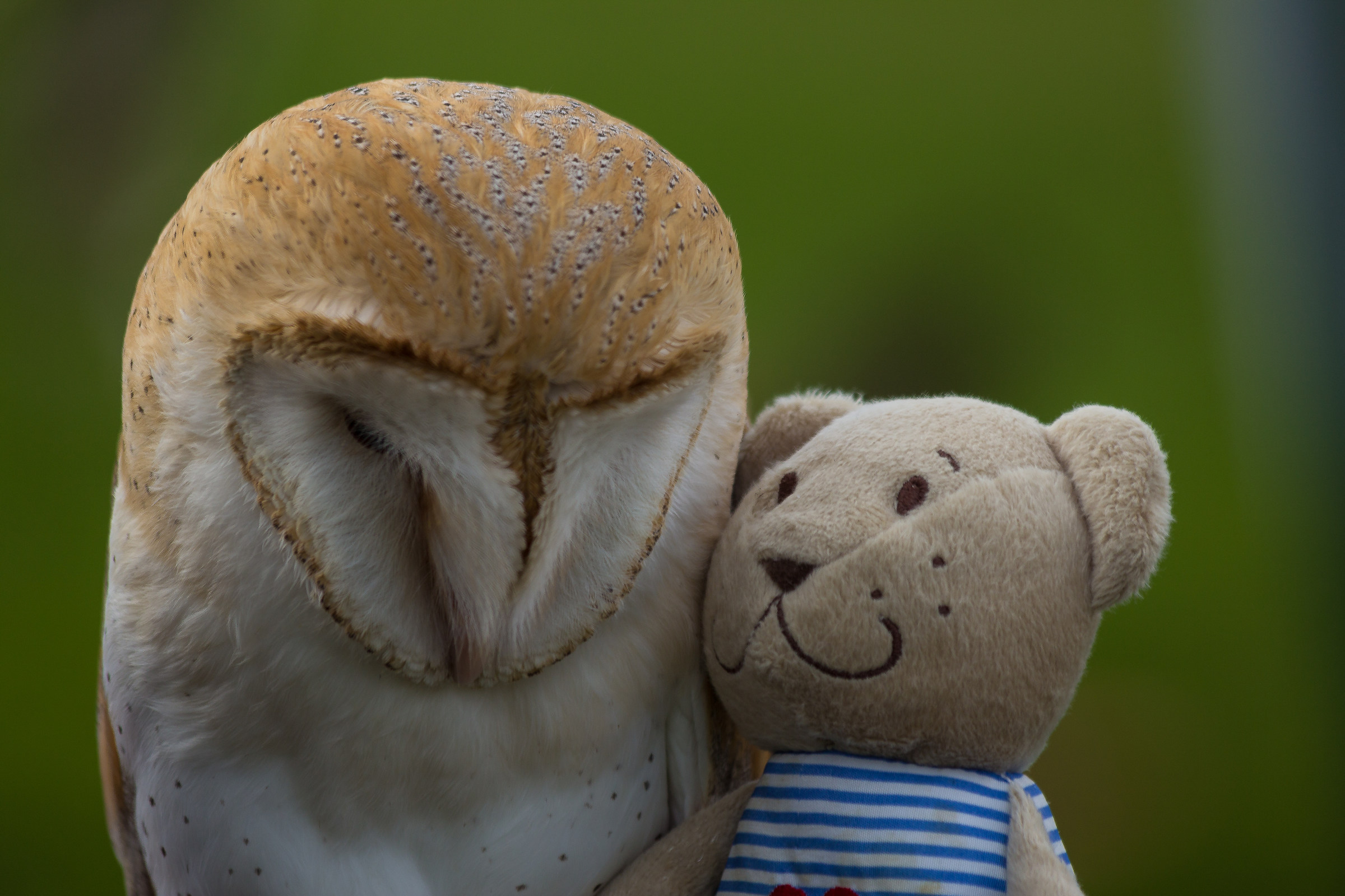 Tell me, I'm listening ...