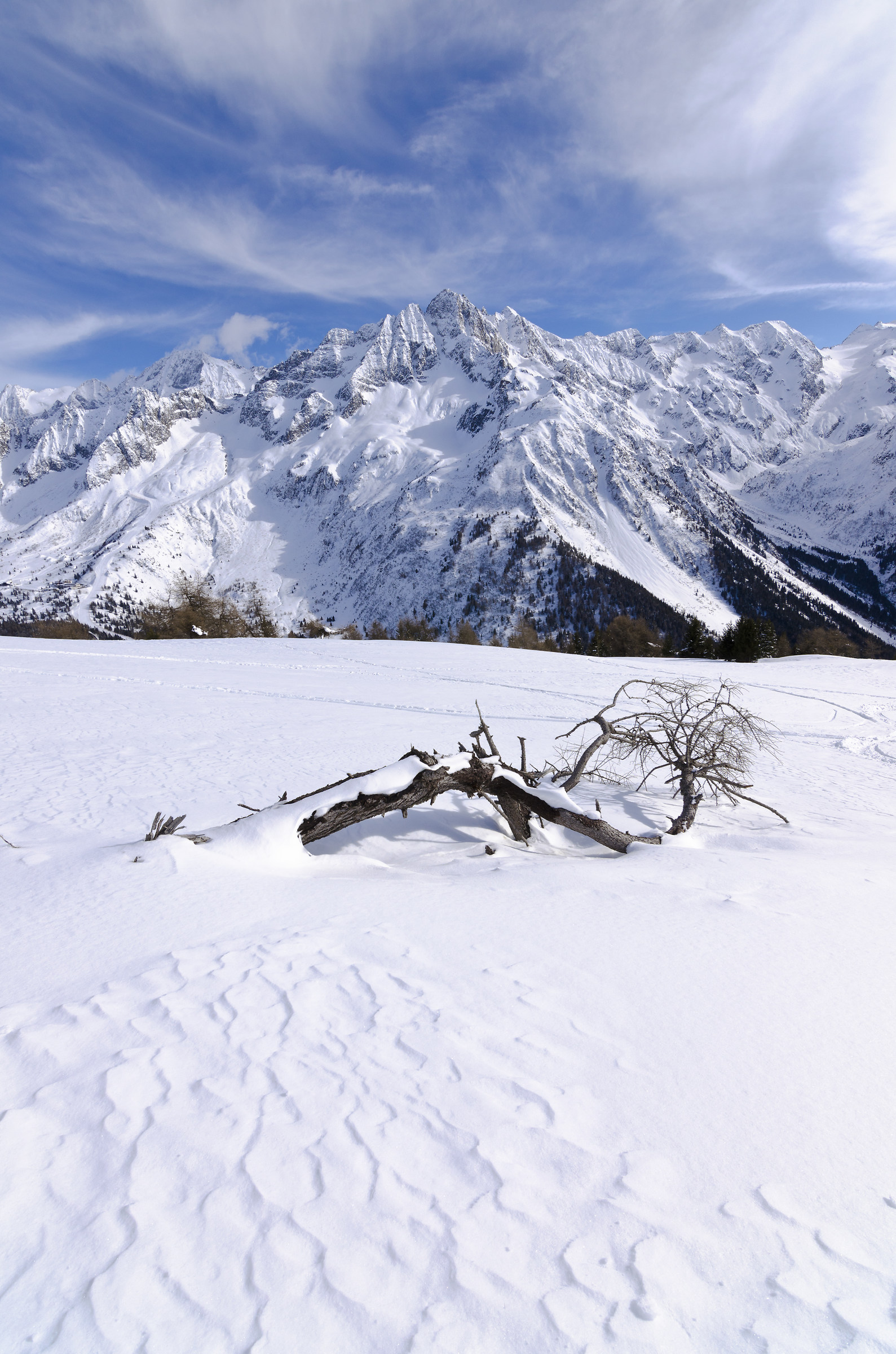 Natura Morta - Gruppo Adamello Presanella