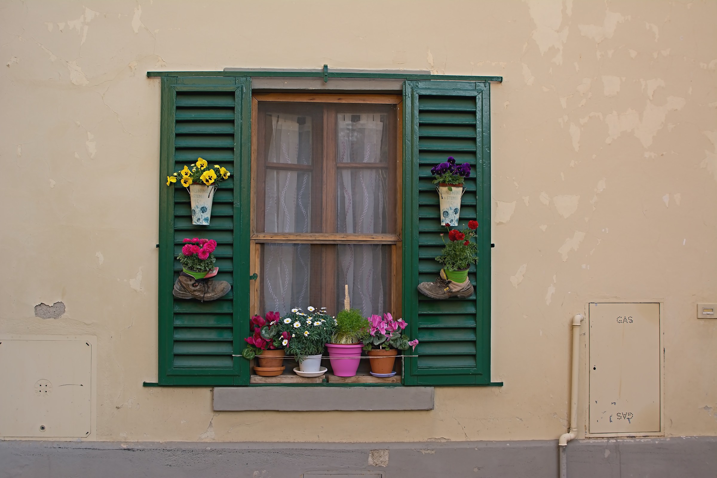 Flowers on the window in Greve in Chianti
