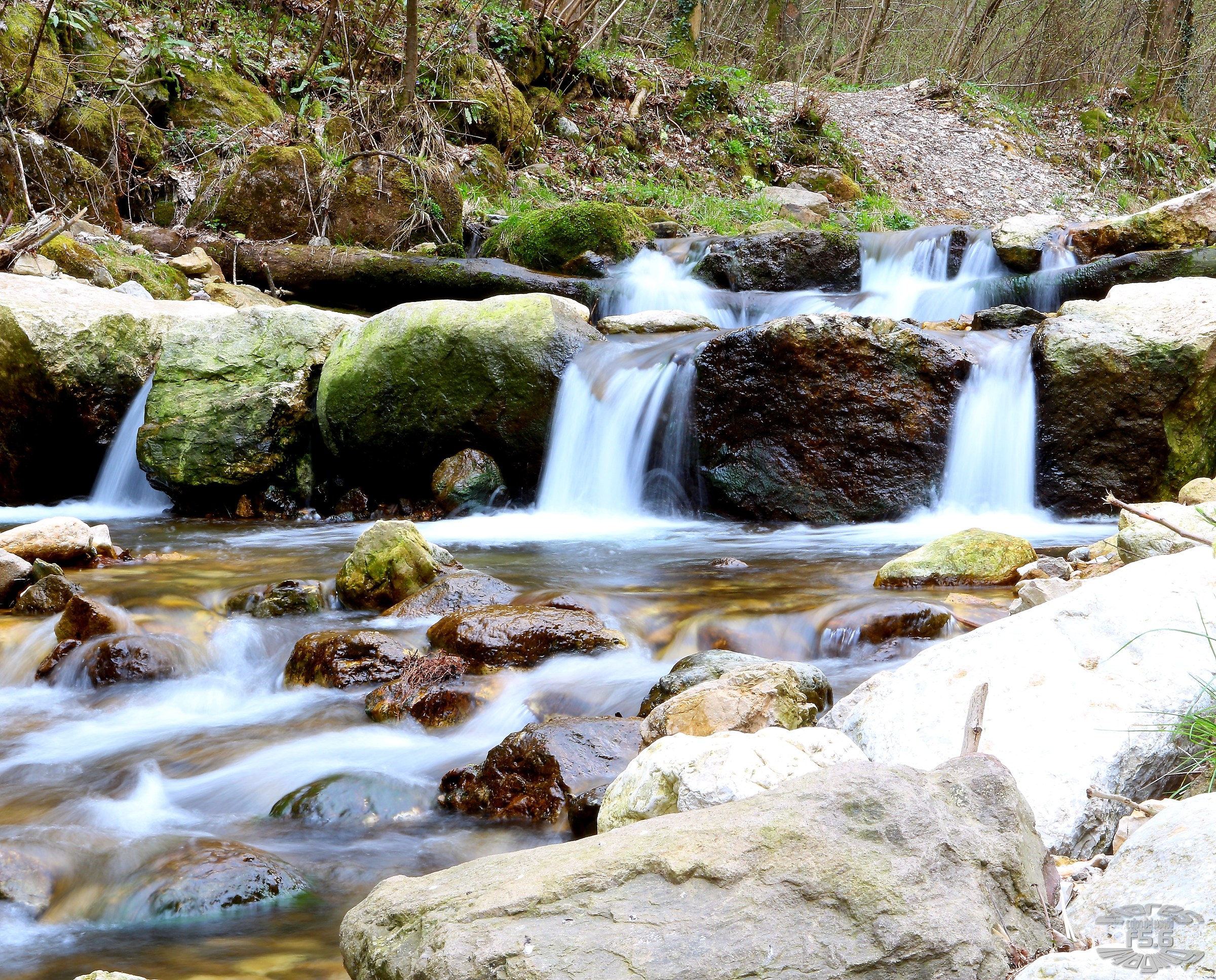 Torrente Acquasaliente - Tretto