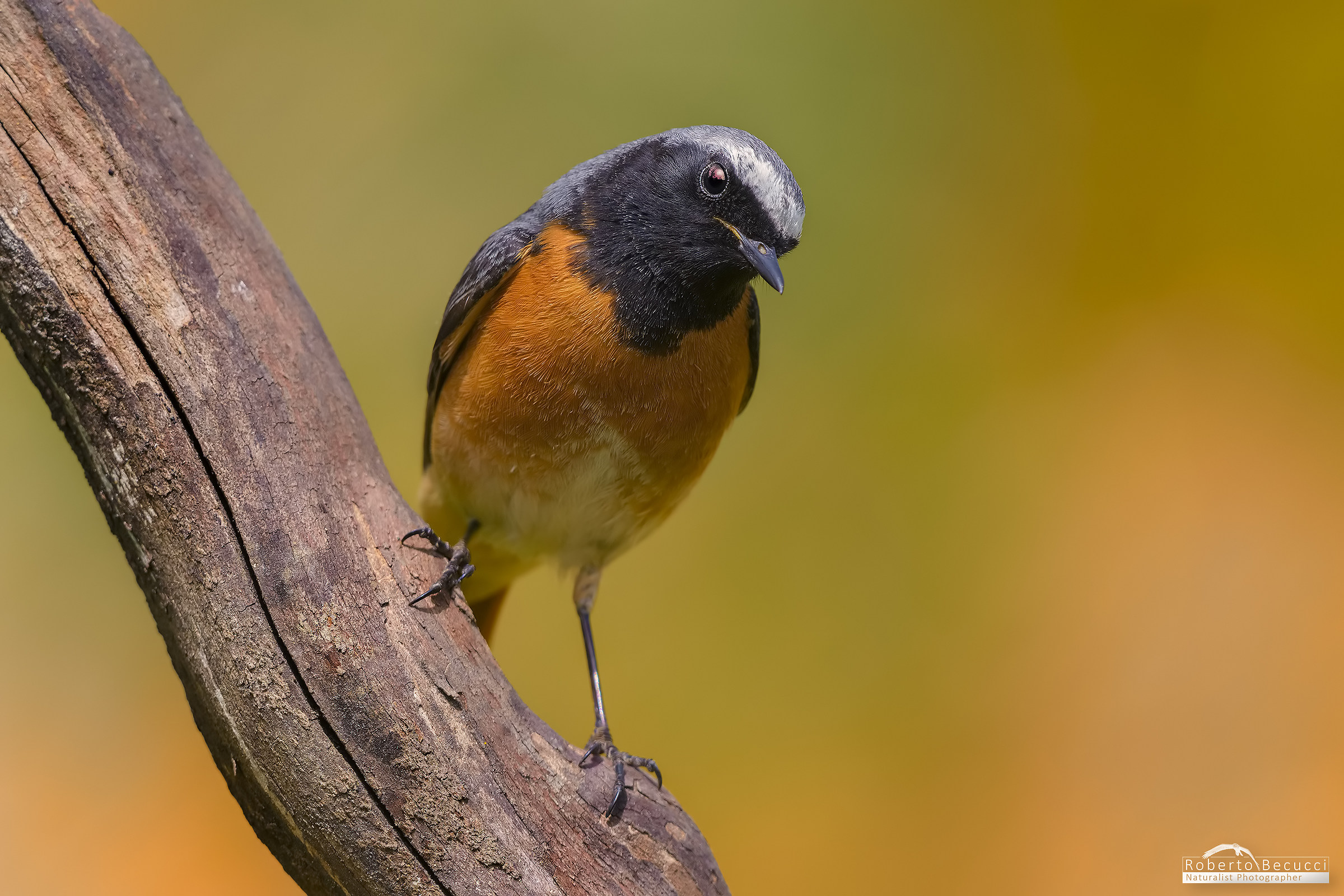 Il tramonto negli occhi....