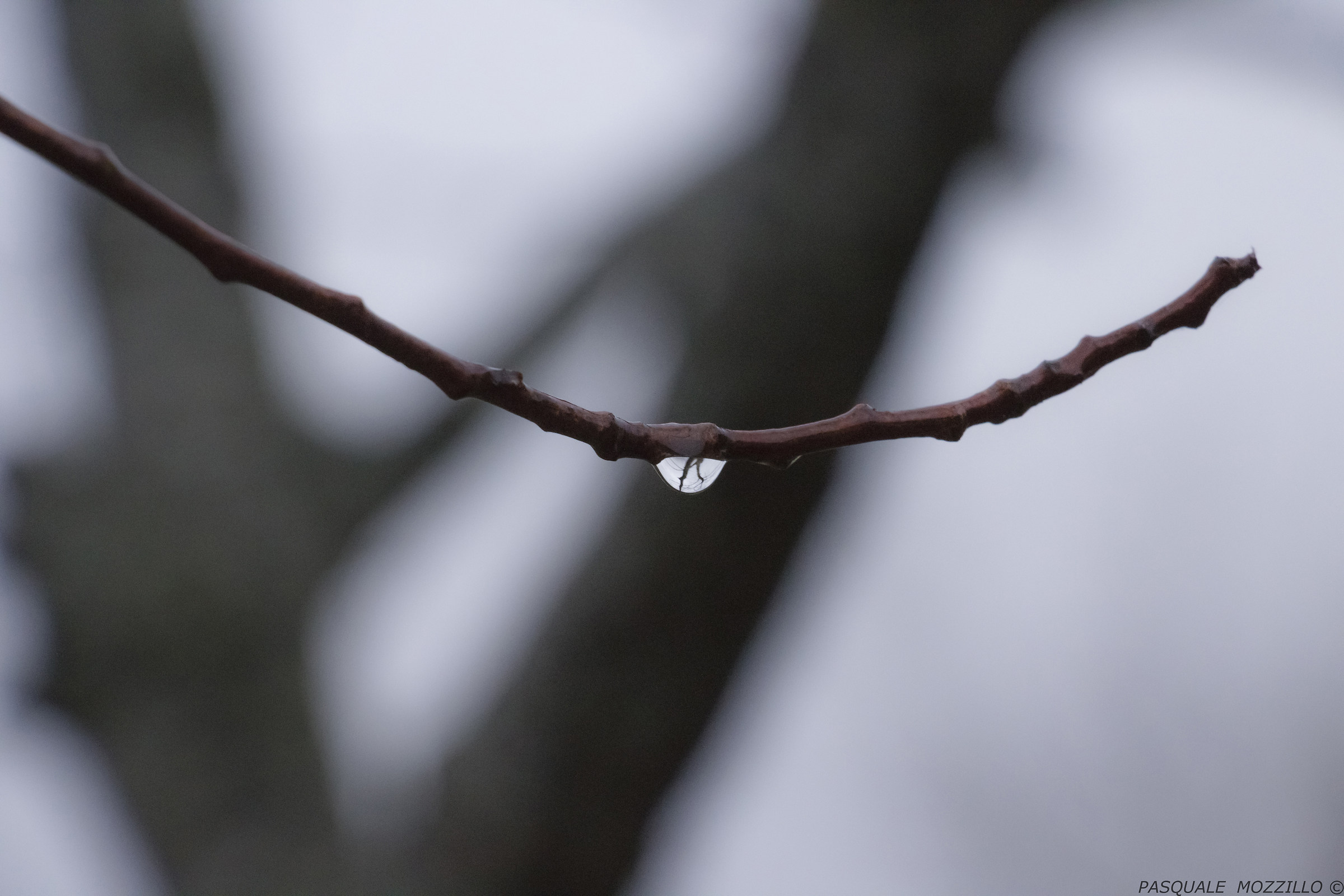 Drops of memory