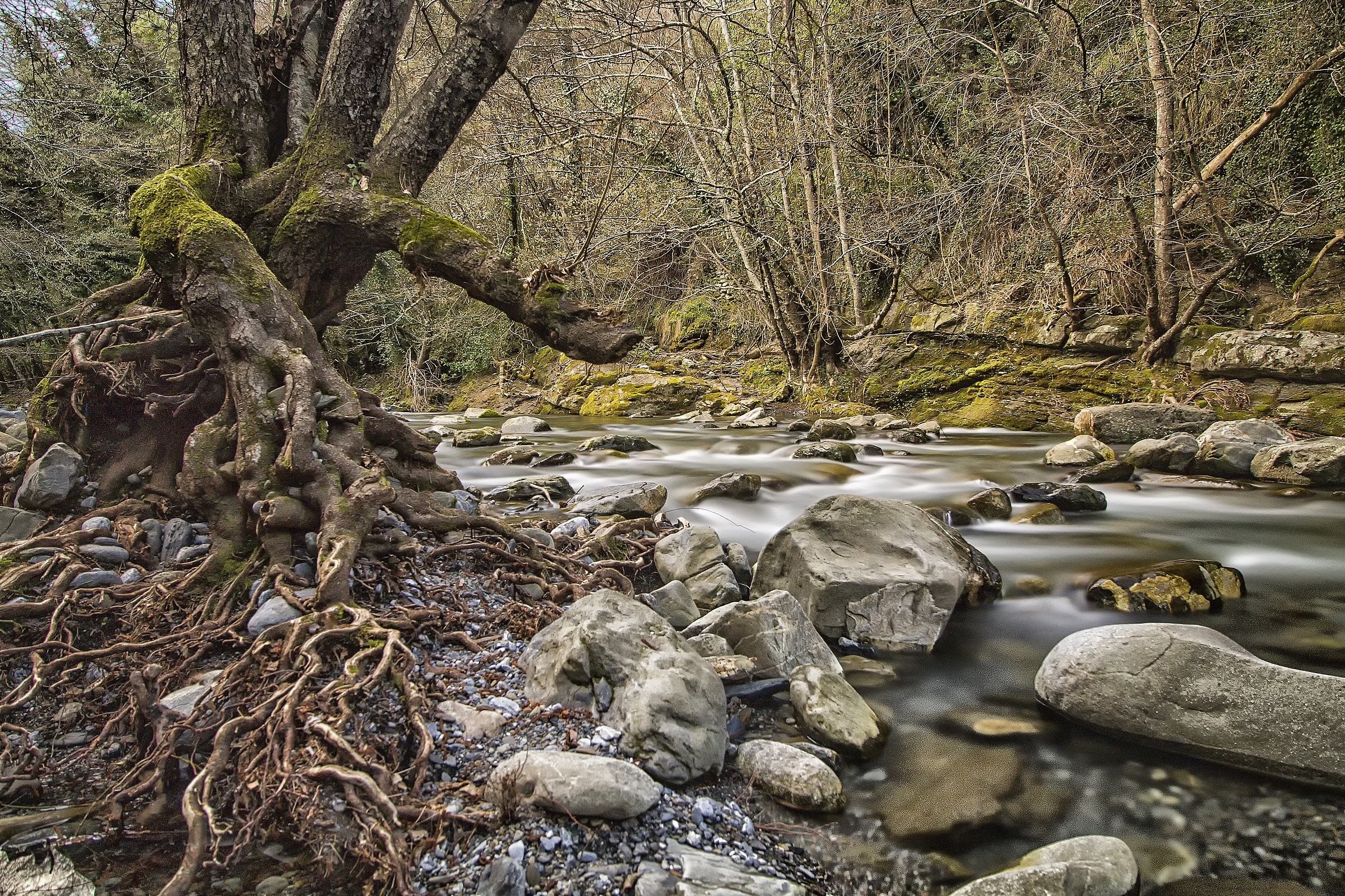 Fiume Argentina - Molini di Triora