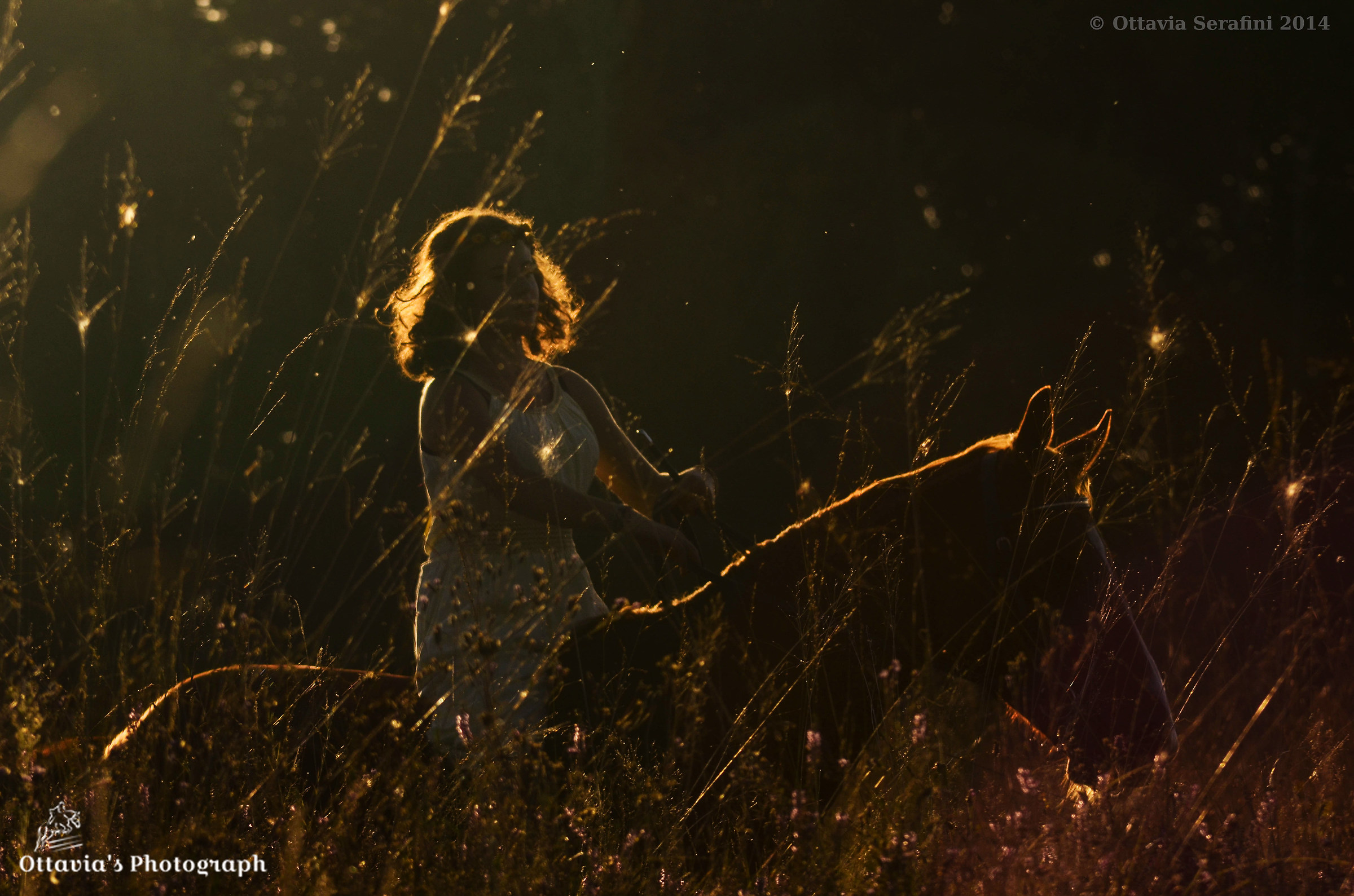 A fairy and her horse ...