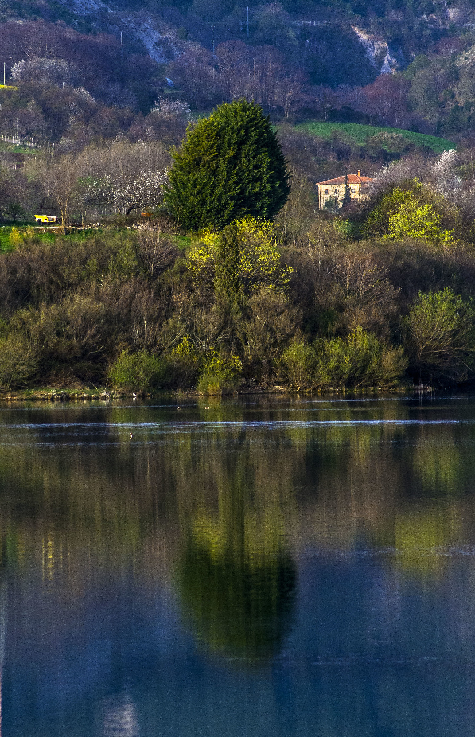 reflexes
