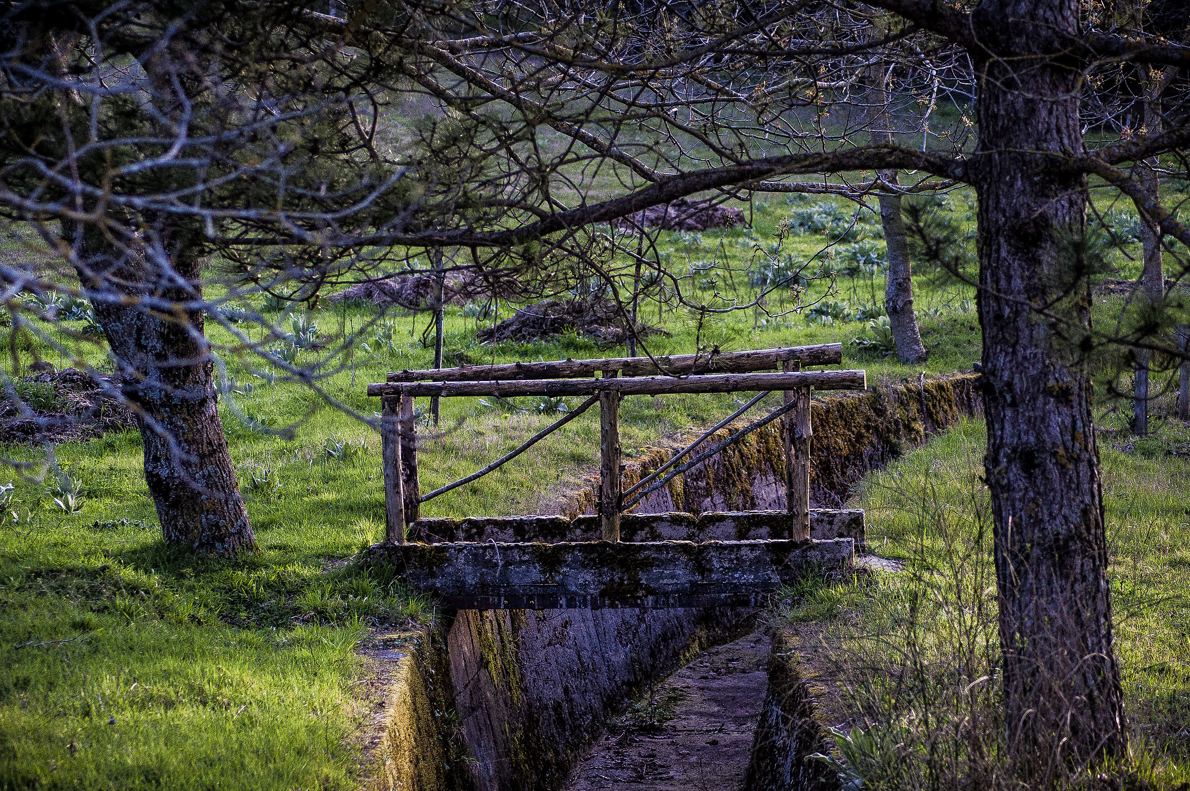 THE narrow bridge ...