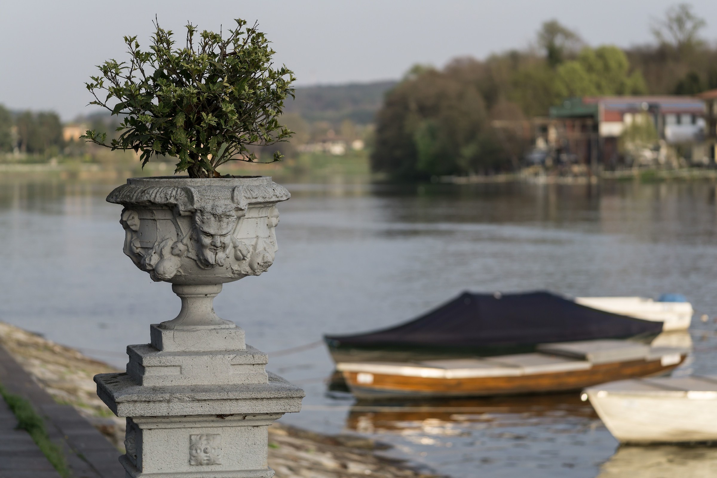 Late afternoon of April - Ansa del Ticino - 1