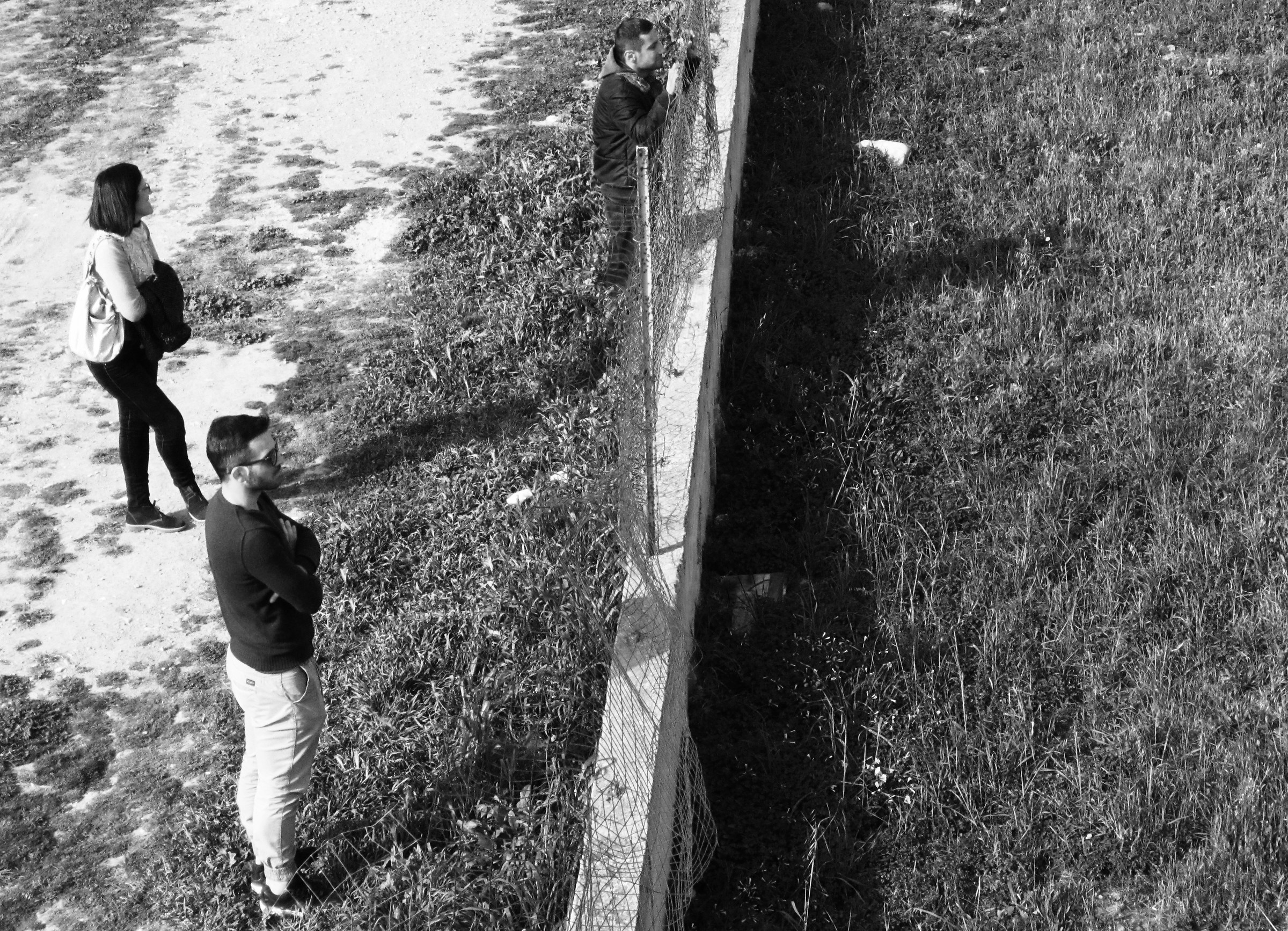 Glances over the net