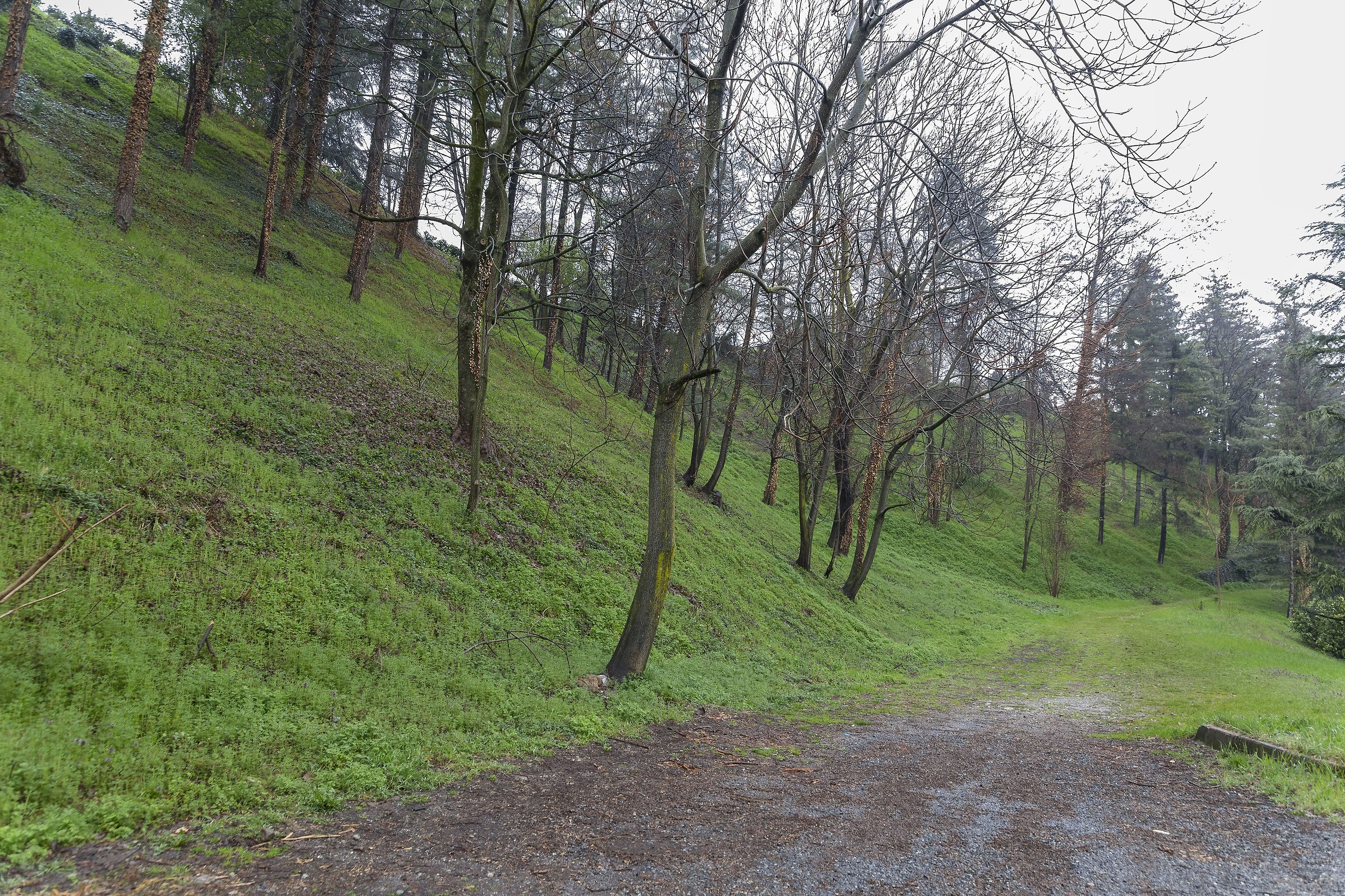 parco della gioventu' cuneo