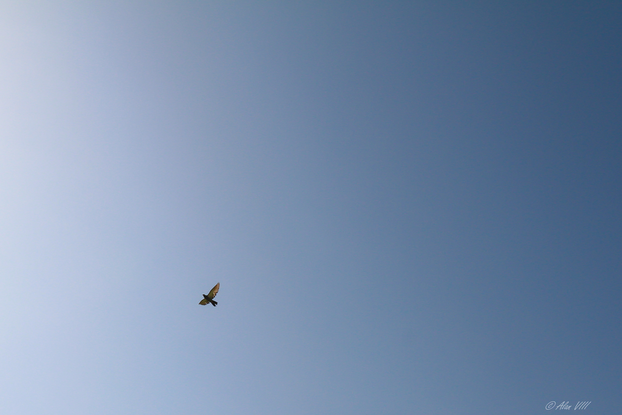 tanto per passare il tempo