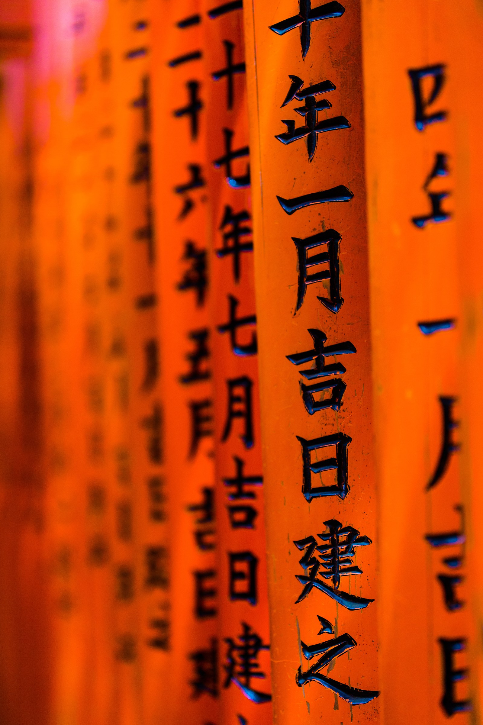 Fushimi Inari Shrine Kyoto