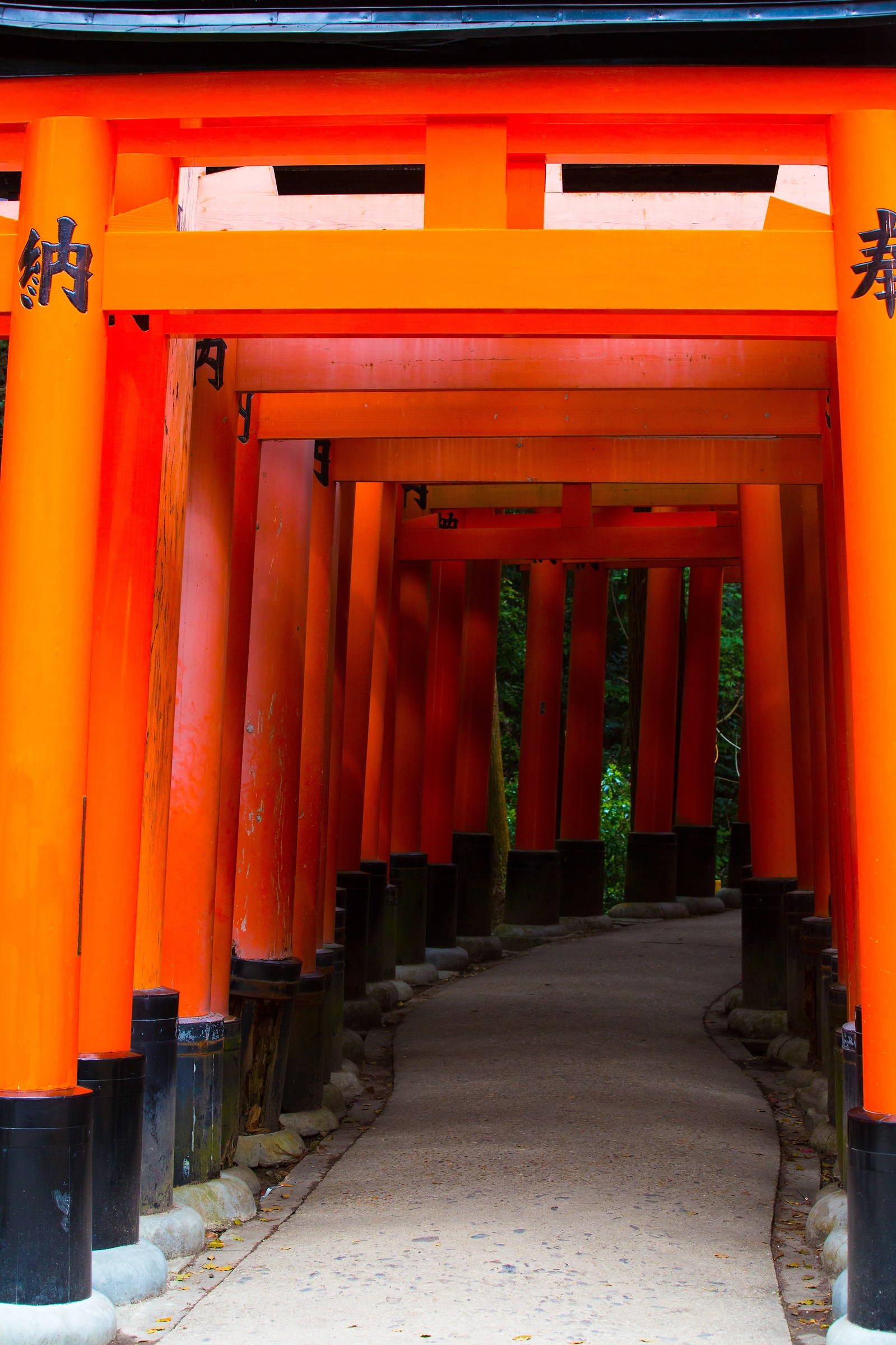 Fushimi Inari Shrine Kyoto