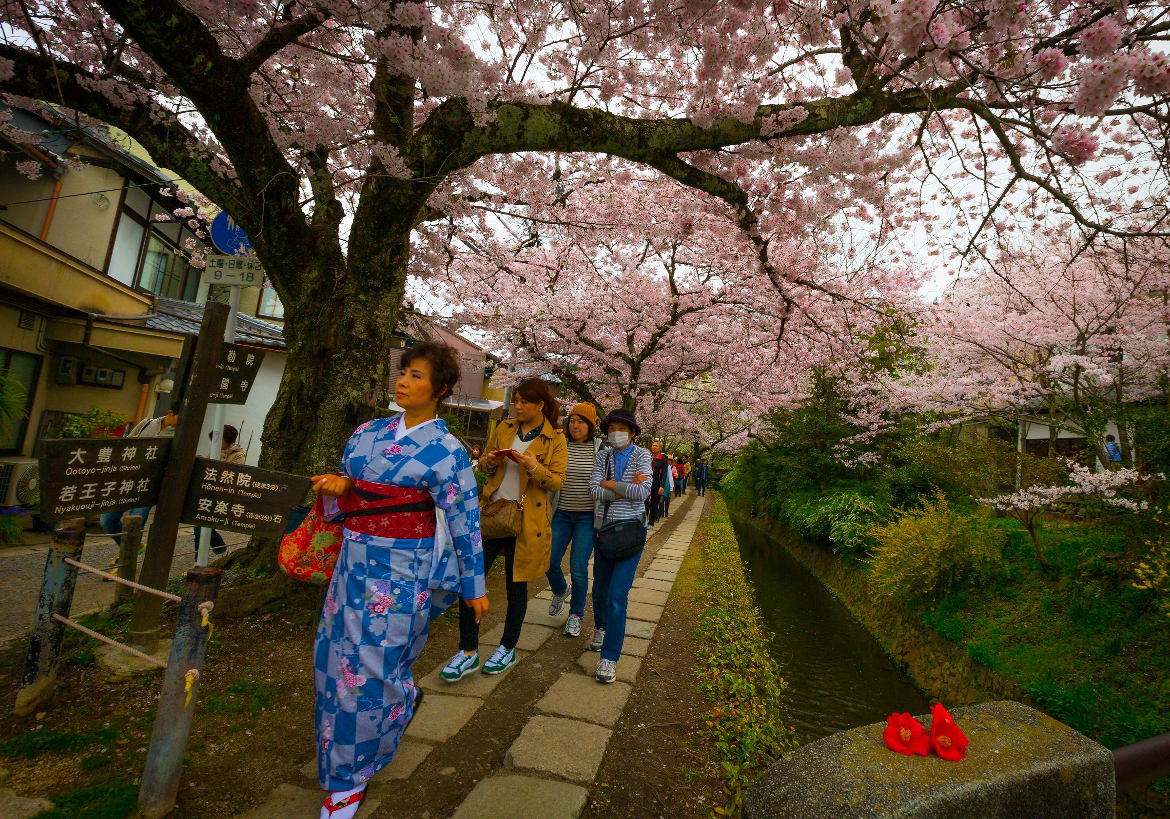 Philosopher's Path Kyoto