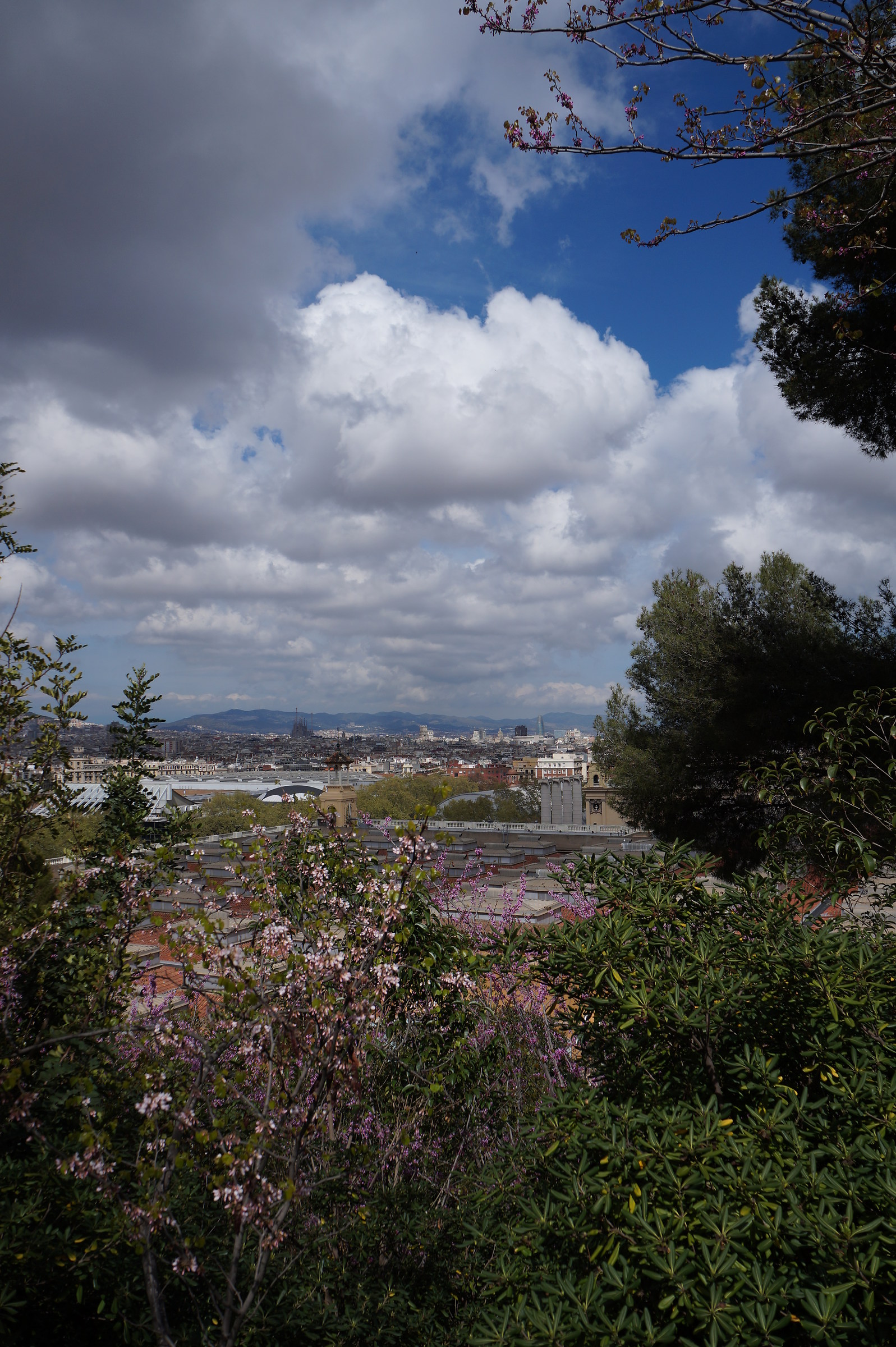 paesaggio da Montjuïc