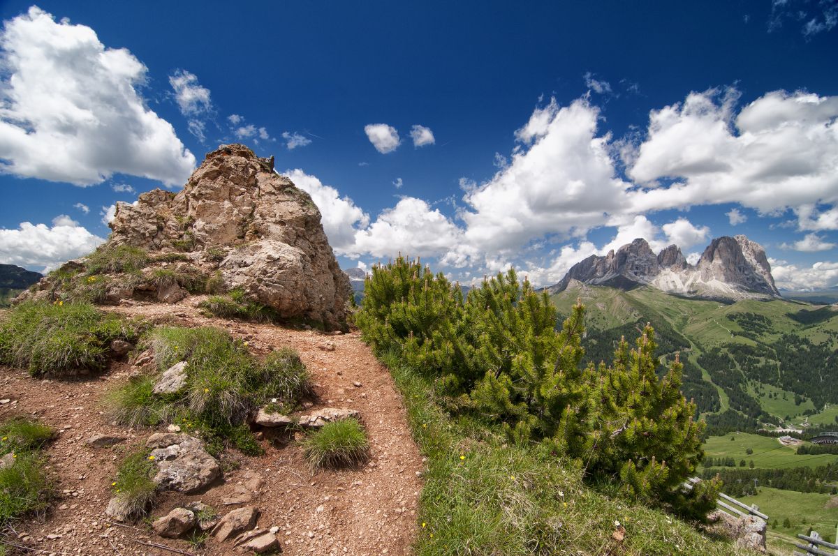 Col dei Rossi - Canazei TN