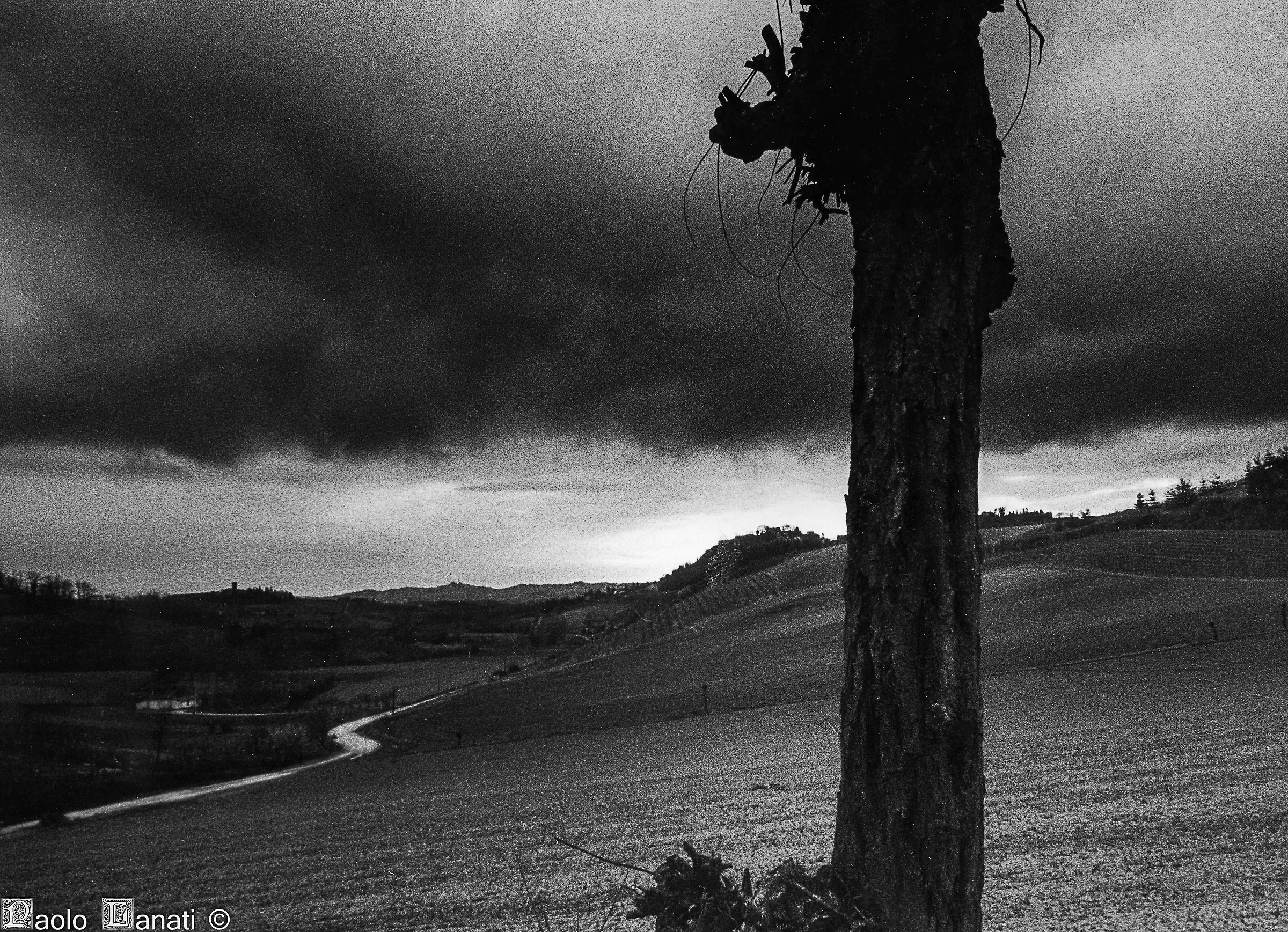 panorama del moferrato-2