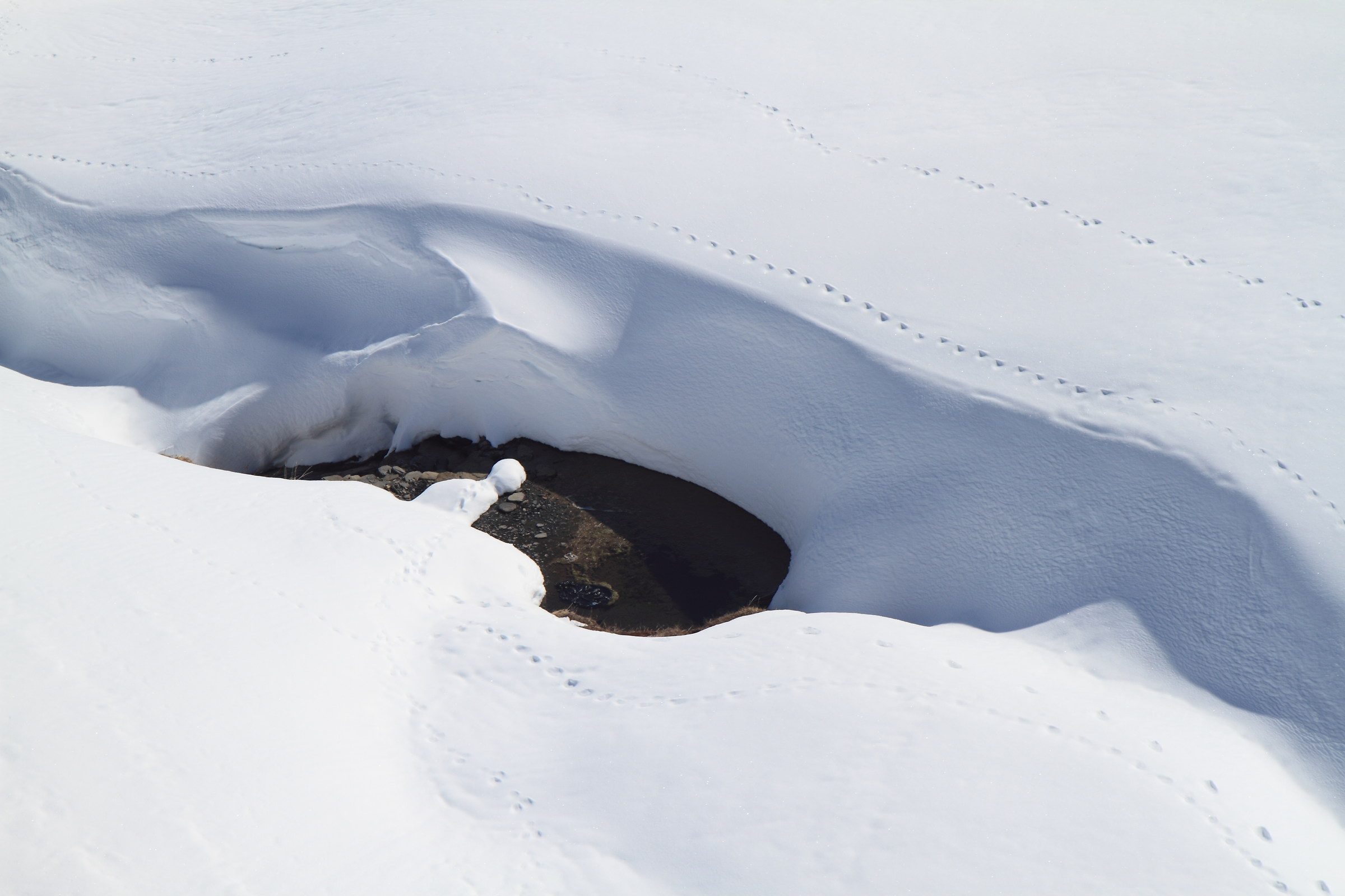 L'acqua si fa strada