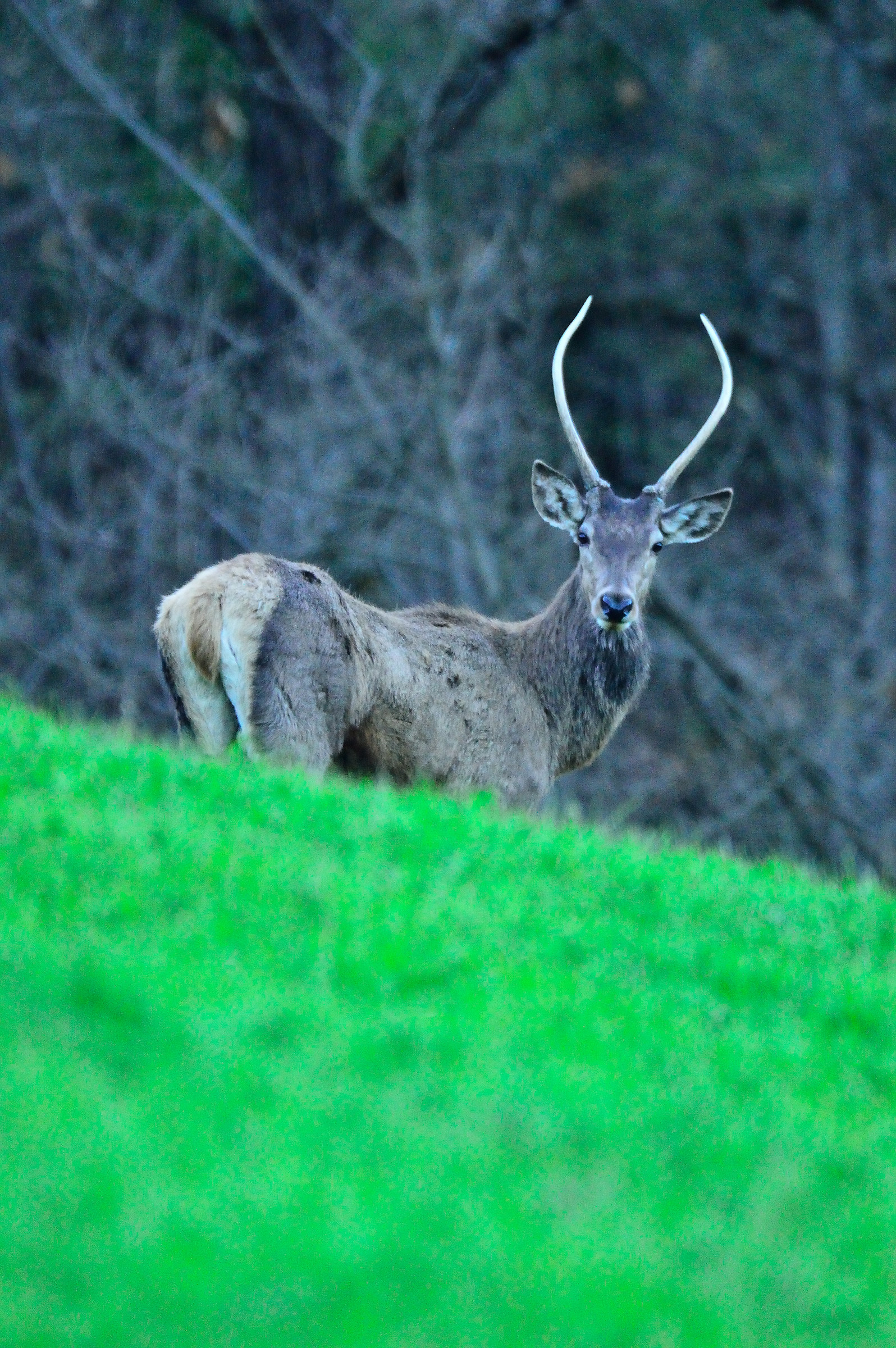 Who you are, but most of all you want?