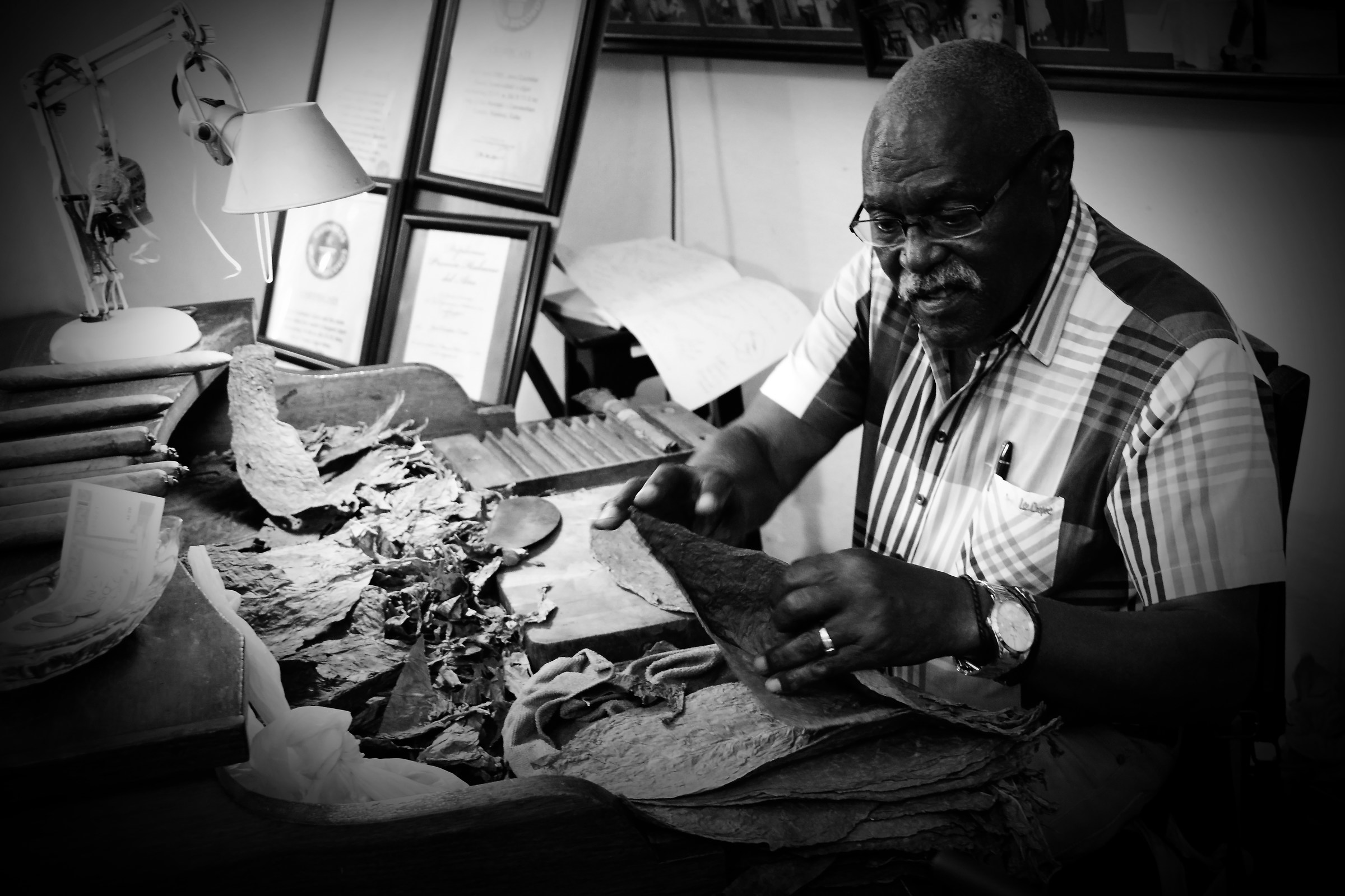 The love for one's work is ageless (Cuba)