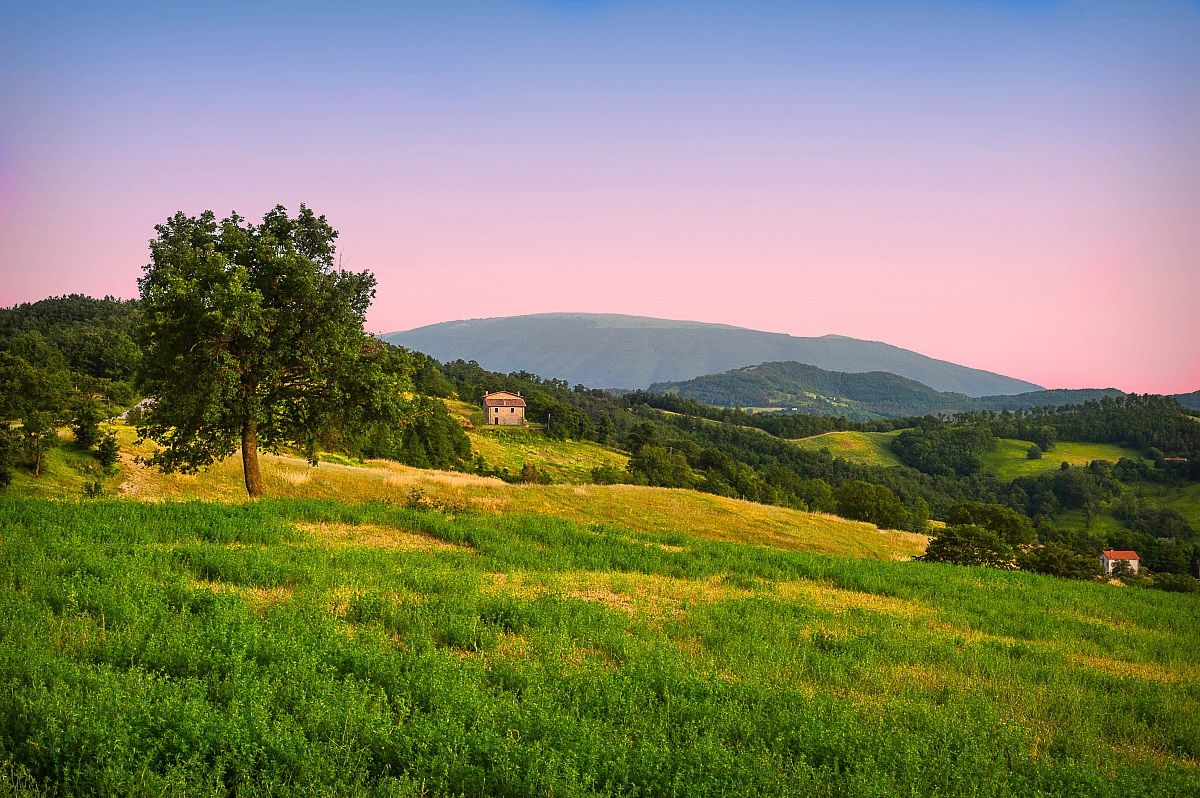 Umbrian landscape with mountain in the distance Subasio