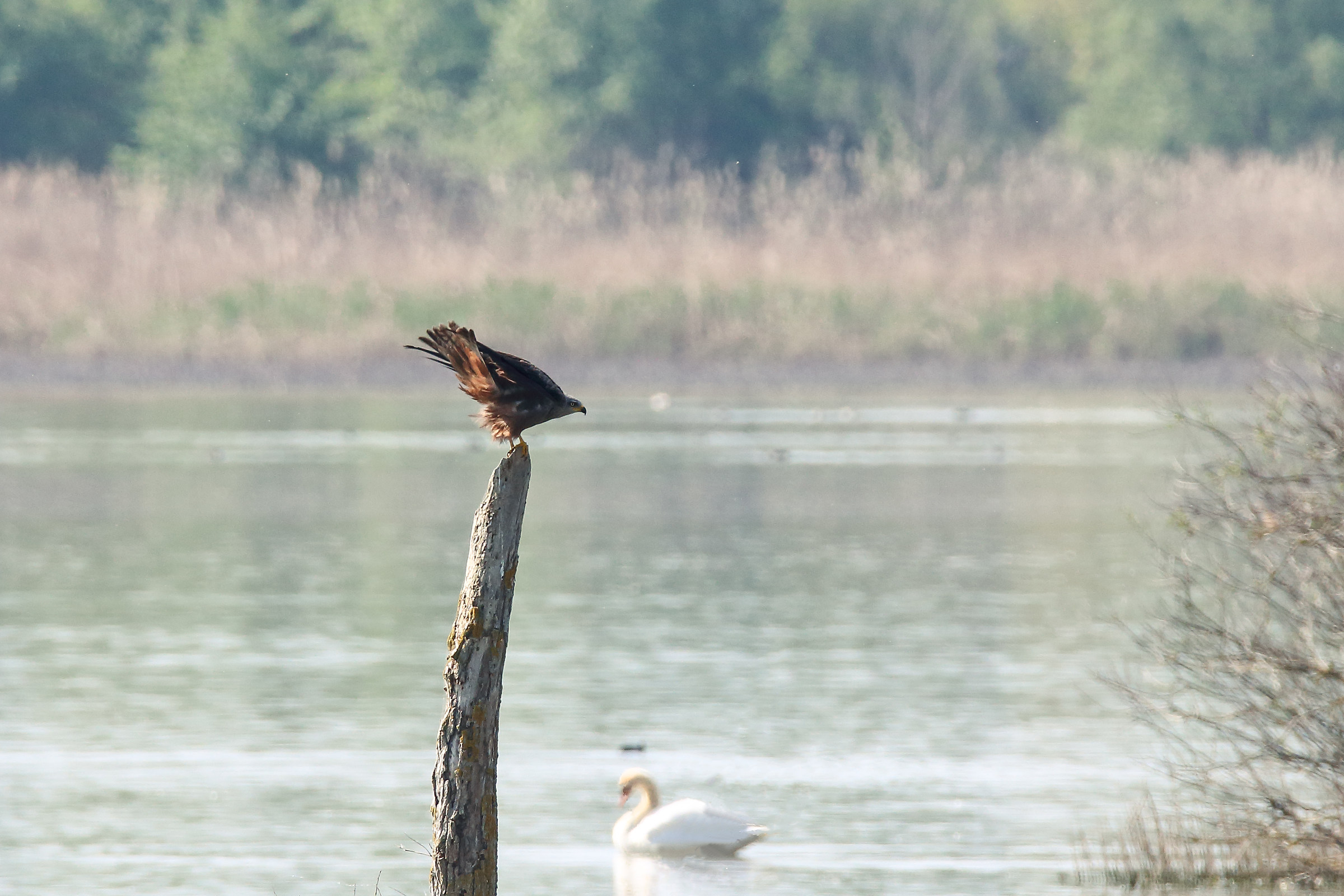 Second Before Takeoff