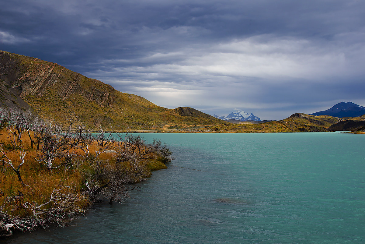 Patagonia Chilena - Torres del Paine National Park