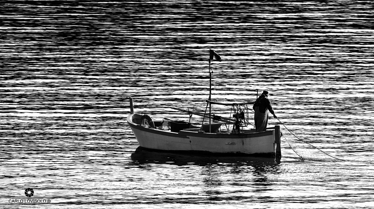 Ligurian Sea goiter and fisherman