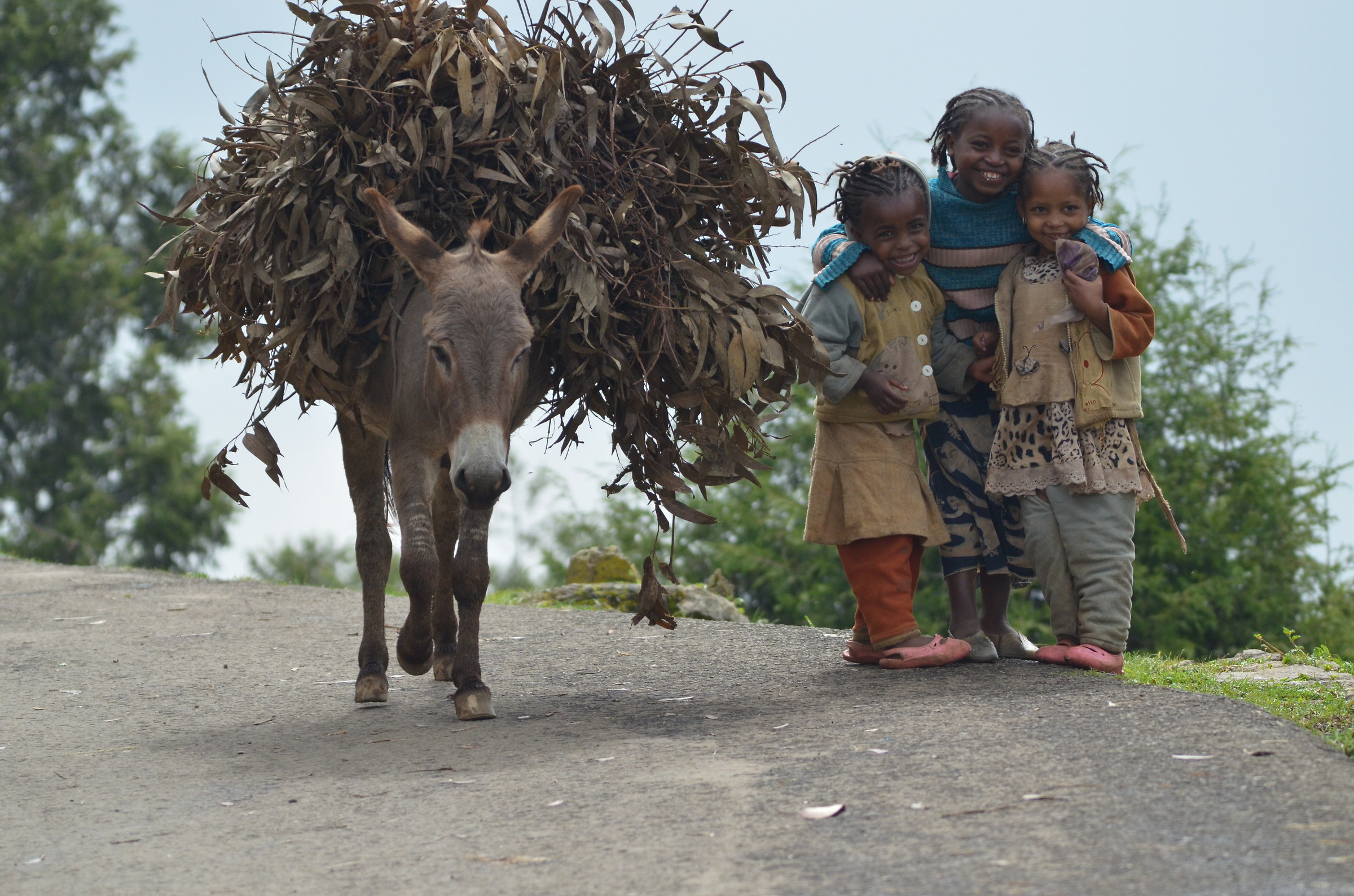 La gioia di vederci...