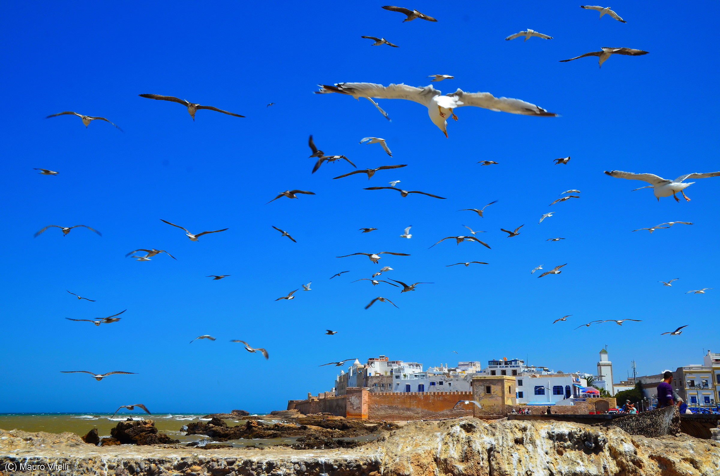 Essaouira (al porto)