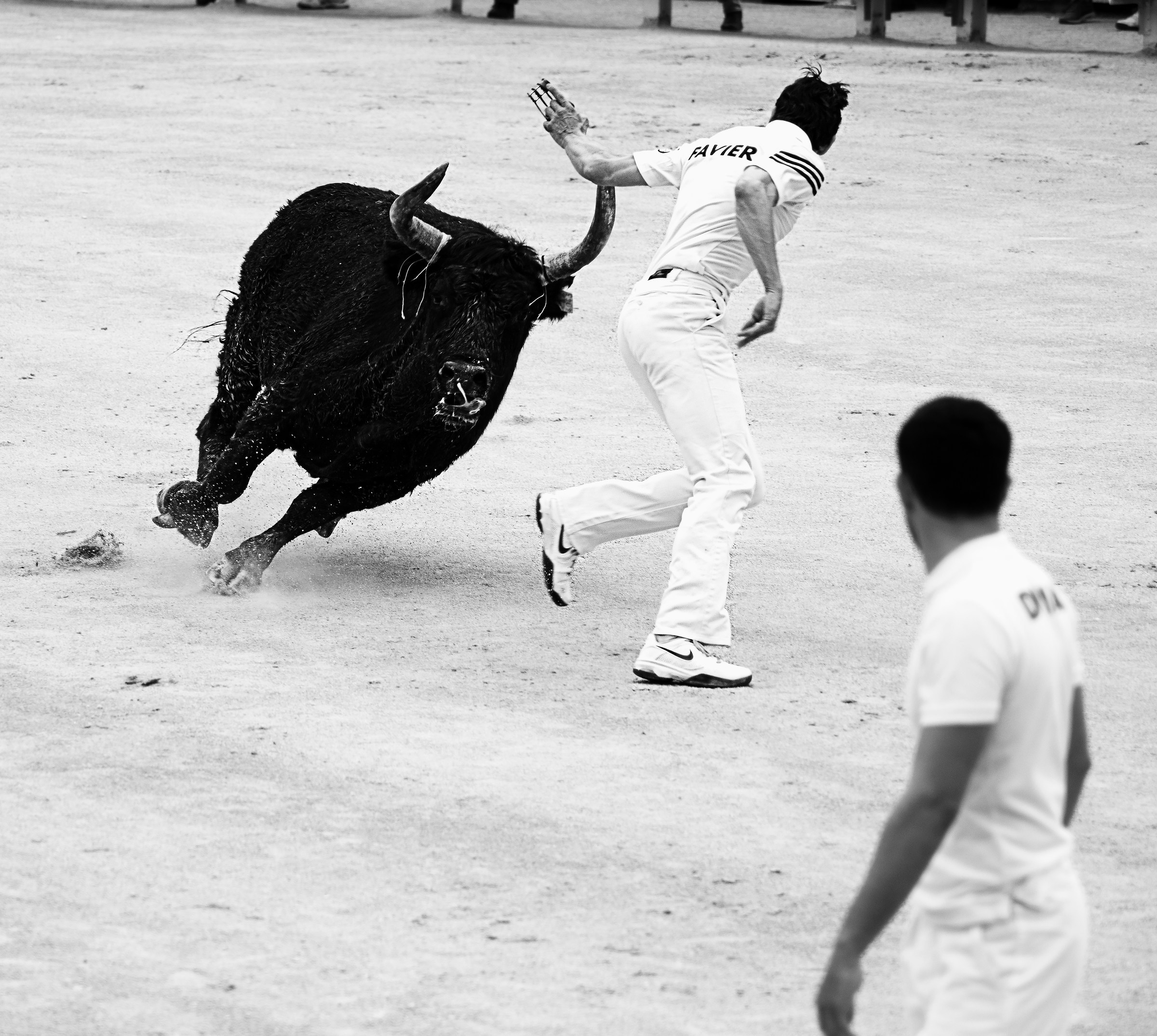 The course camarguaise Arles