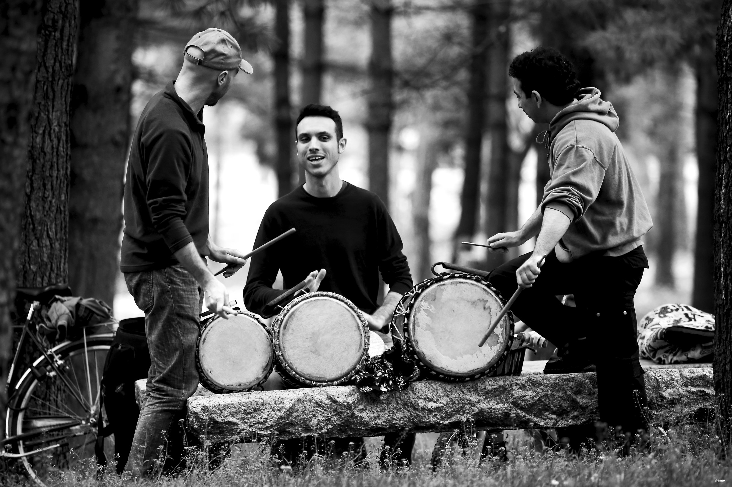 looking the agreement (2)