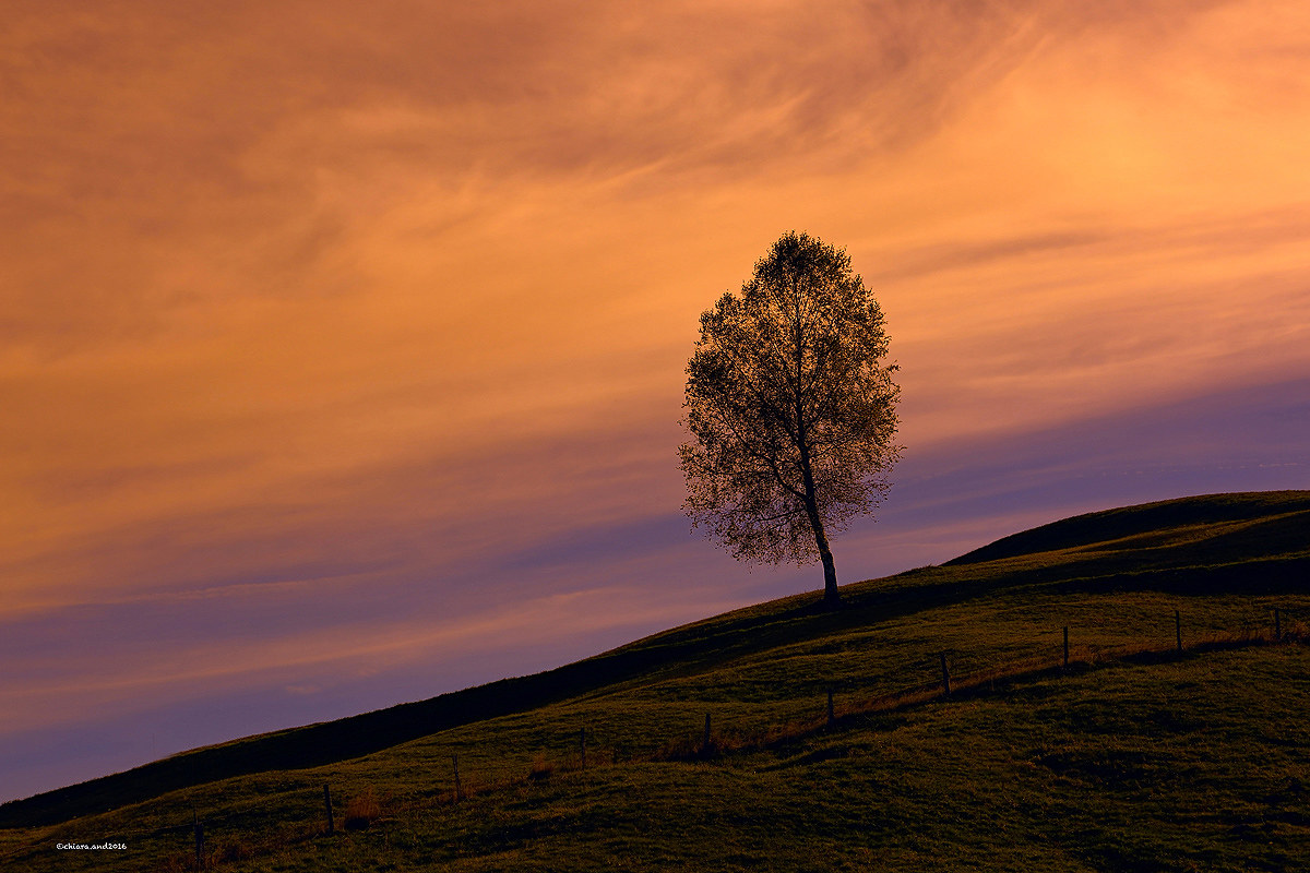 In the light that paints thoughts ....