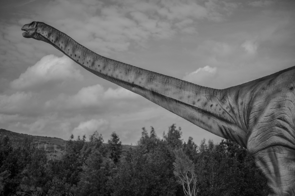 Dinosauro,Parco Dinosauri,Sardegna