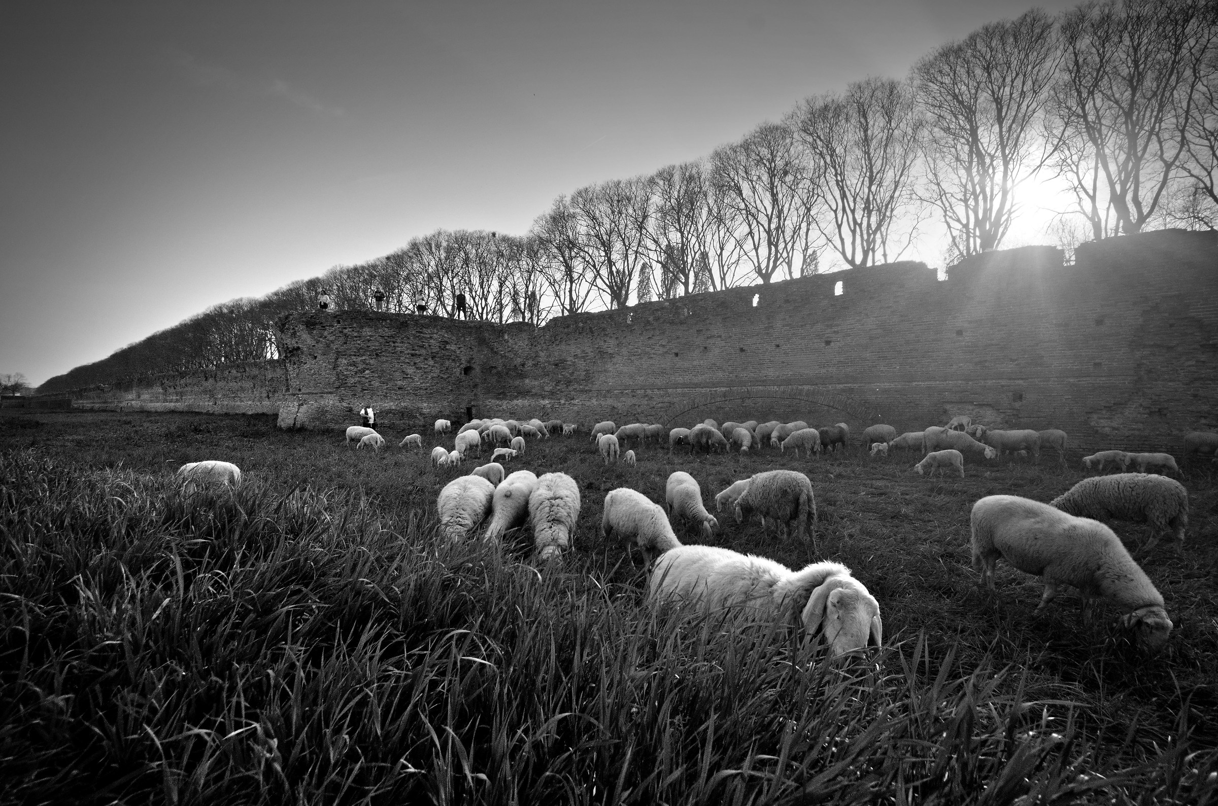 Ferrara 500 years ago