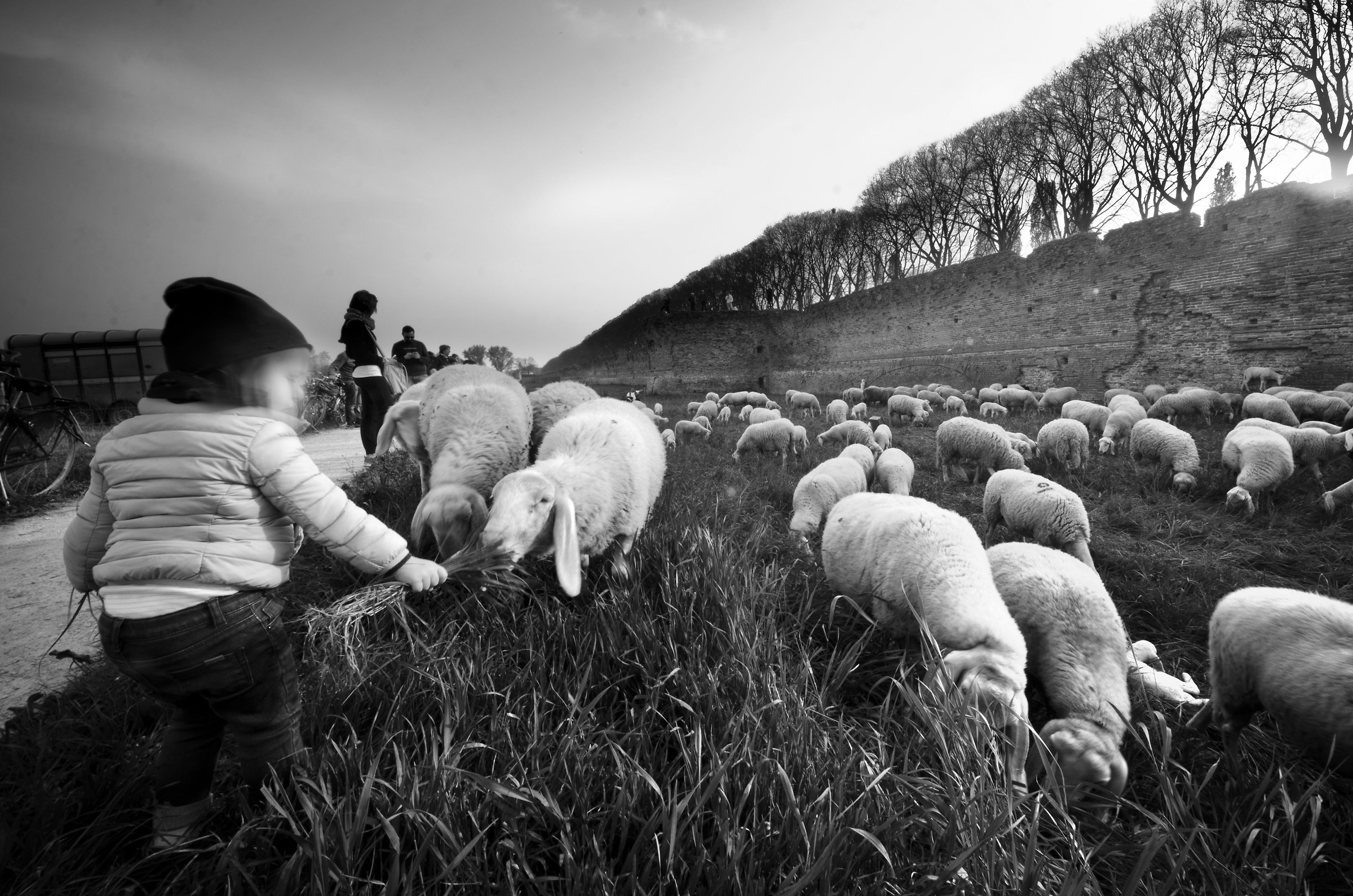 first contact with nature