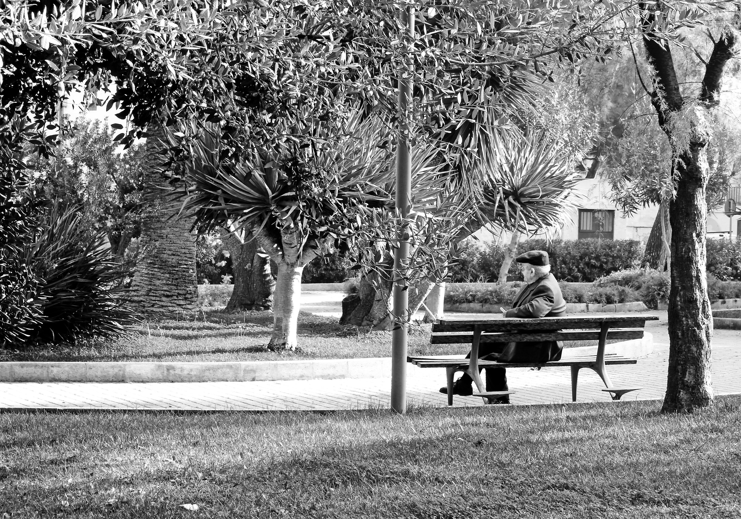 Ogni tanto, tornano...