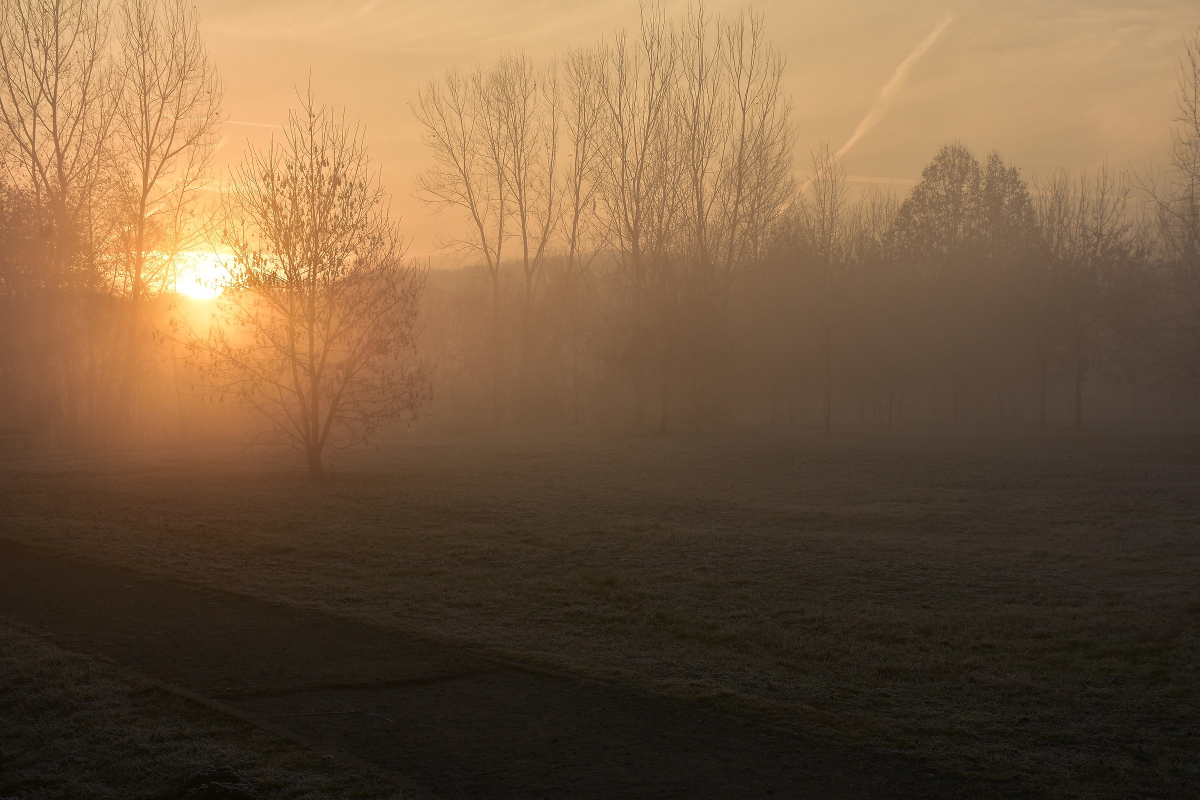 sunrise on the river Po