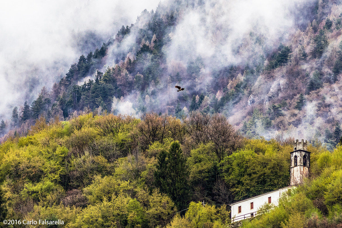 San Daniele - Osigo (tv)