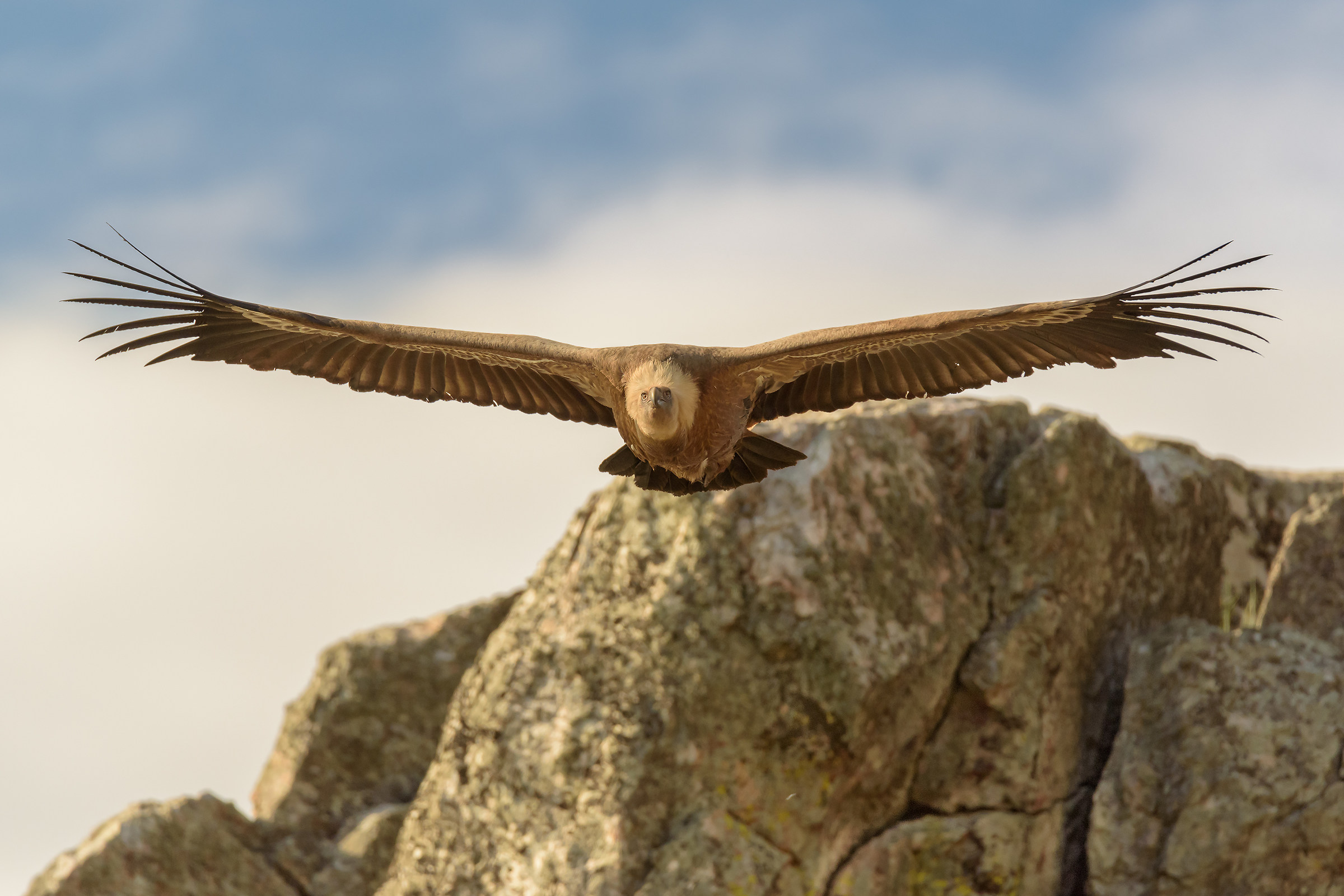 La discesa dalla parete