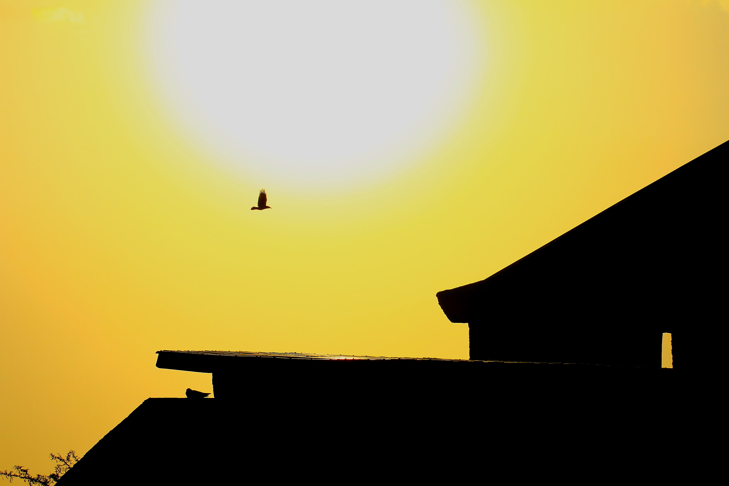 challenge in the sun