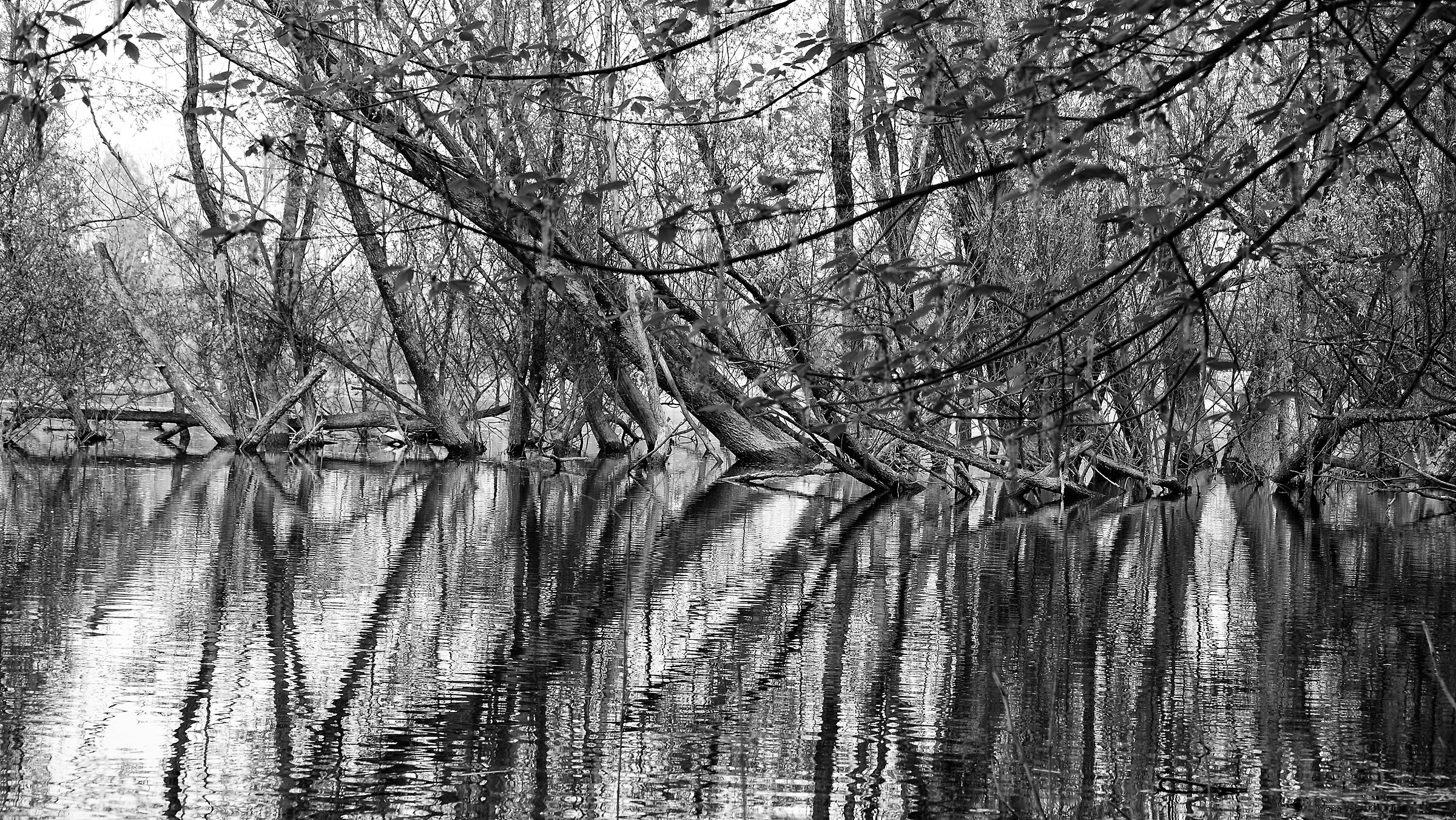 lousiana of our house